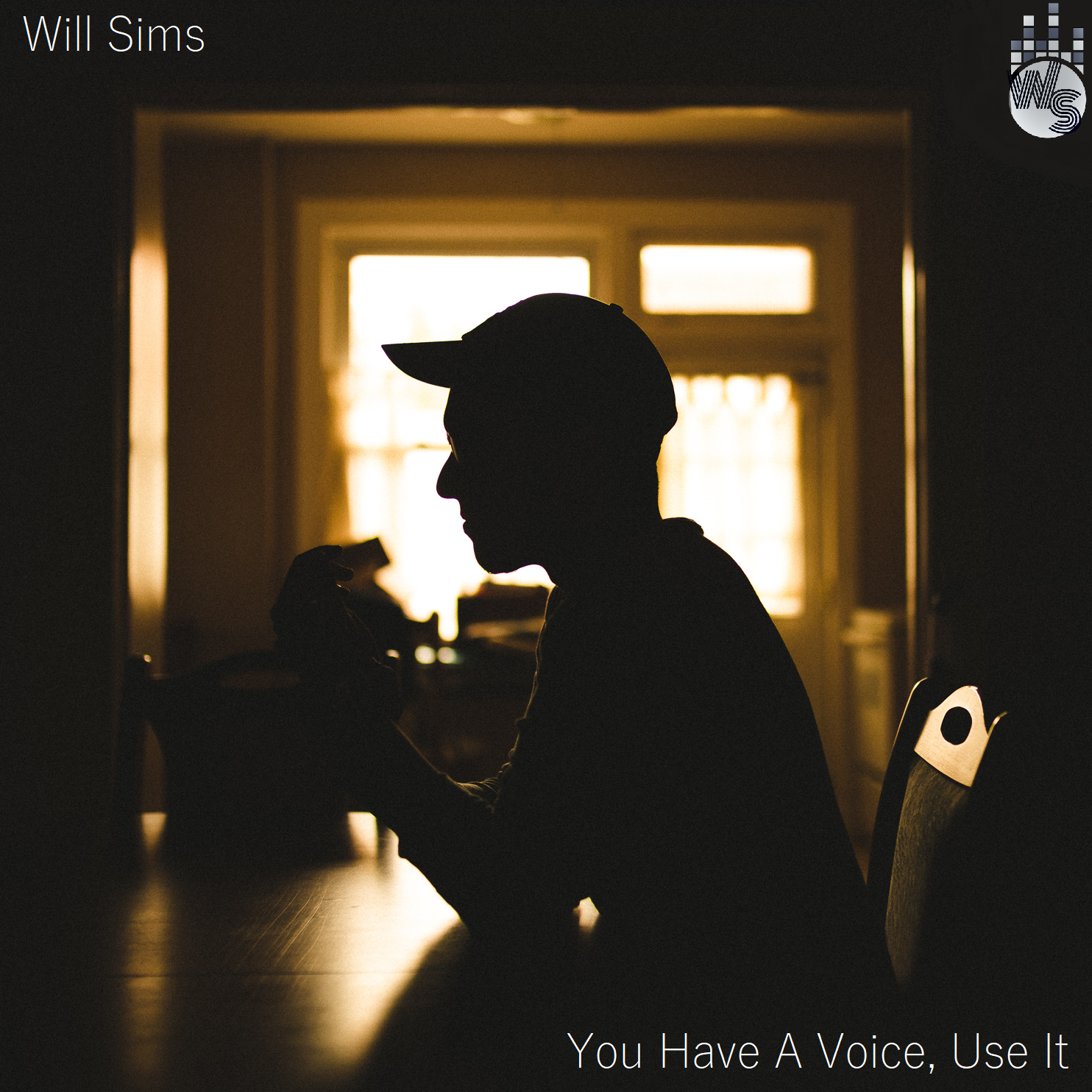 Will Sims conveys raw power &amp; emotion on album, "You Have a Voice, Use It"