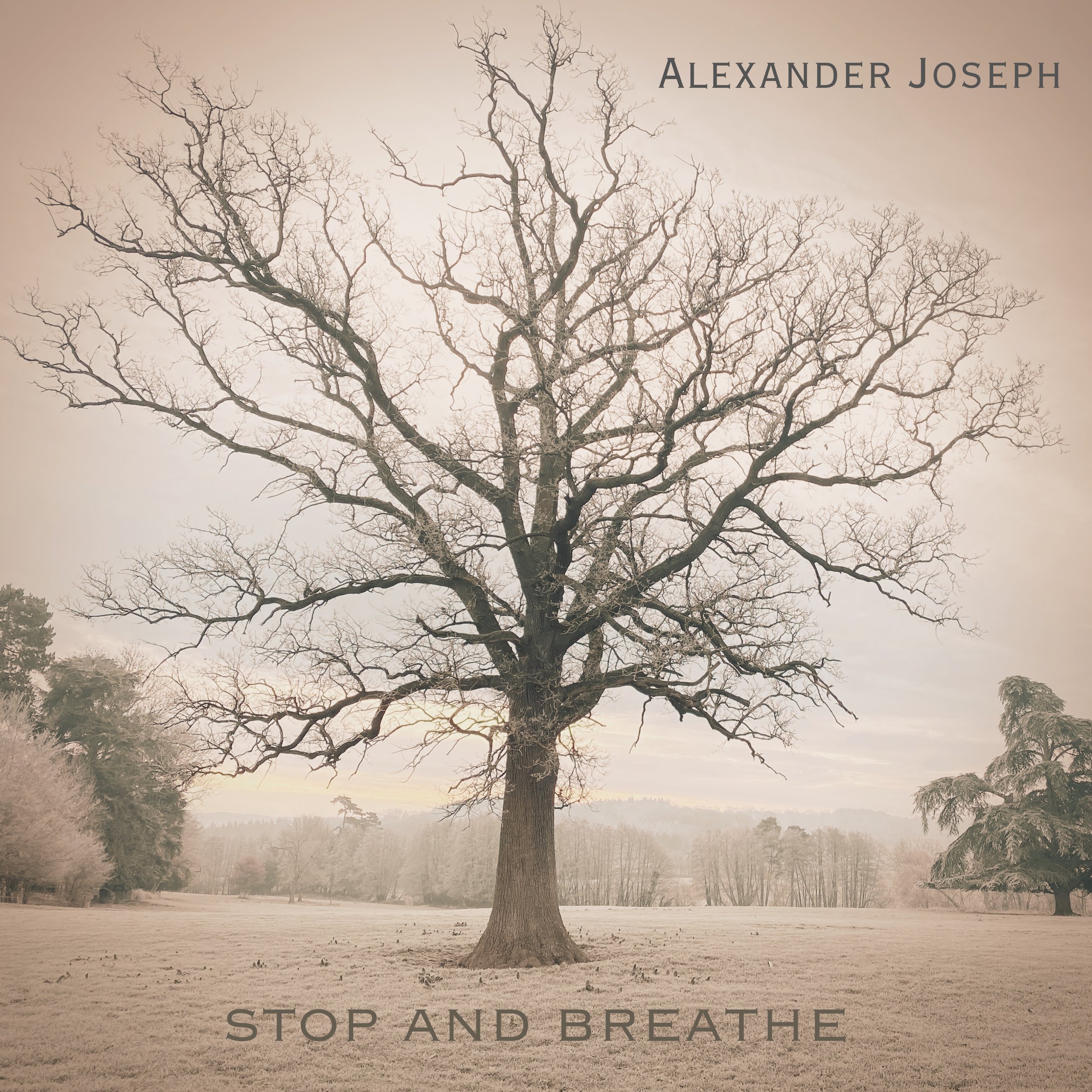 Alexander Joseph takes listeners through music &amp; meaning on EP, "Stop and Breathe"