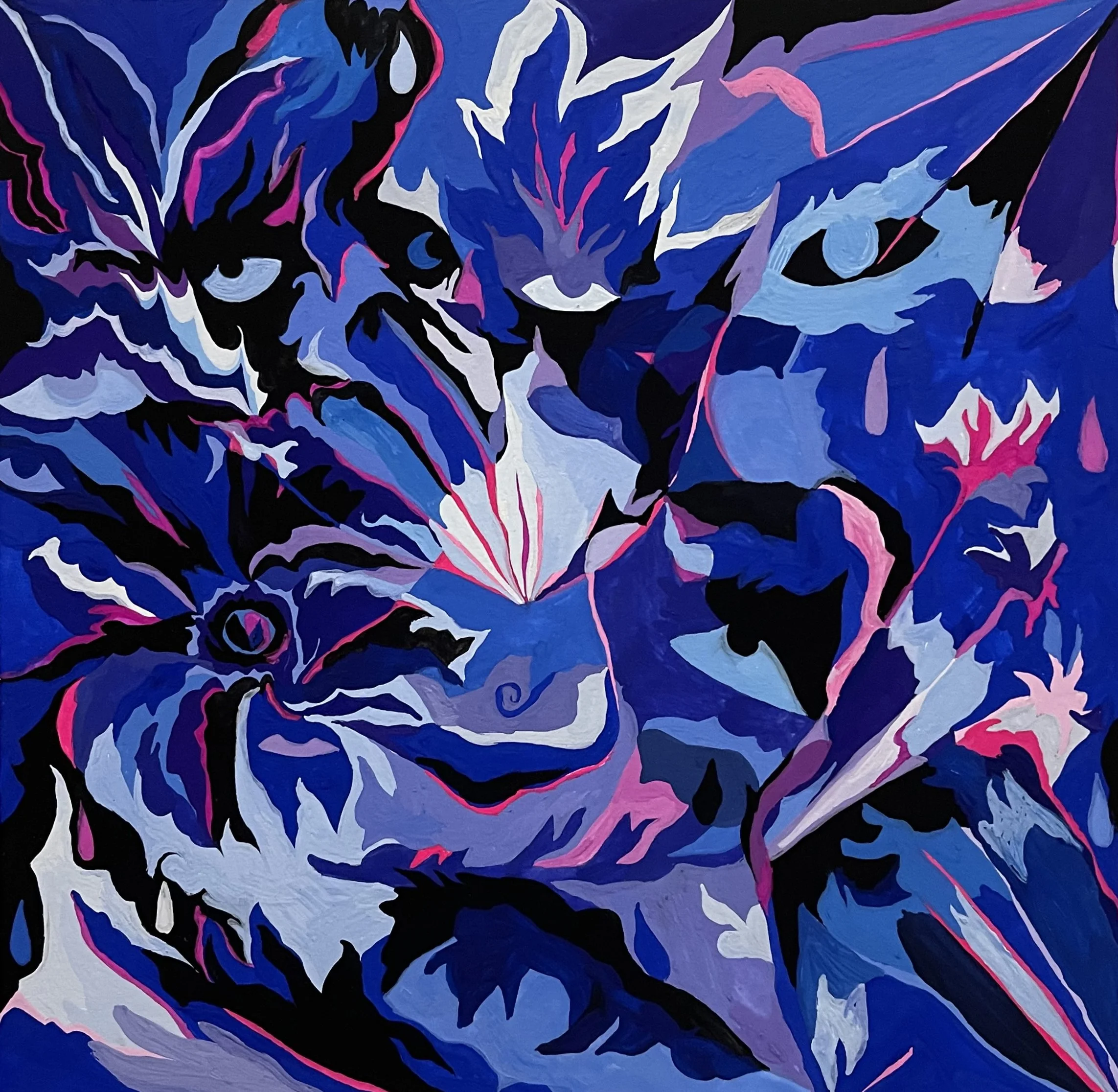 Book/Spirit crafts a beauty with fuzzy single, "Haunt You"