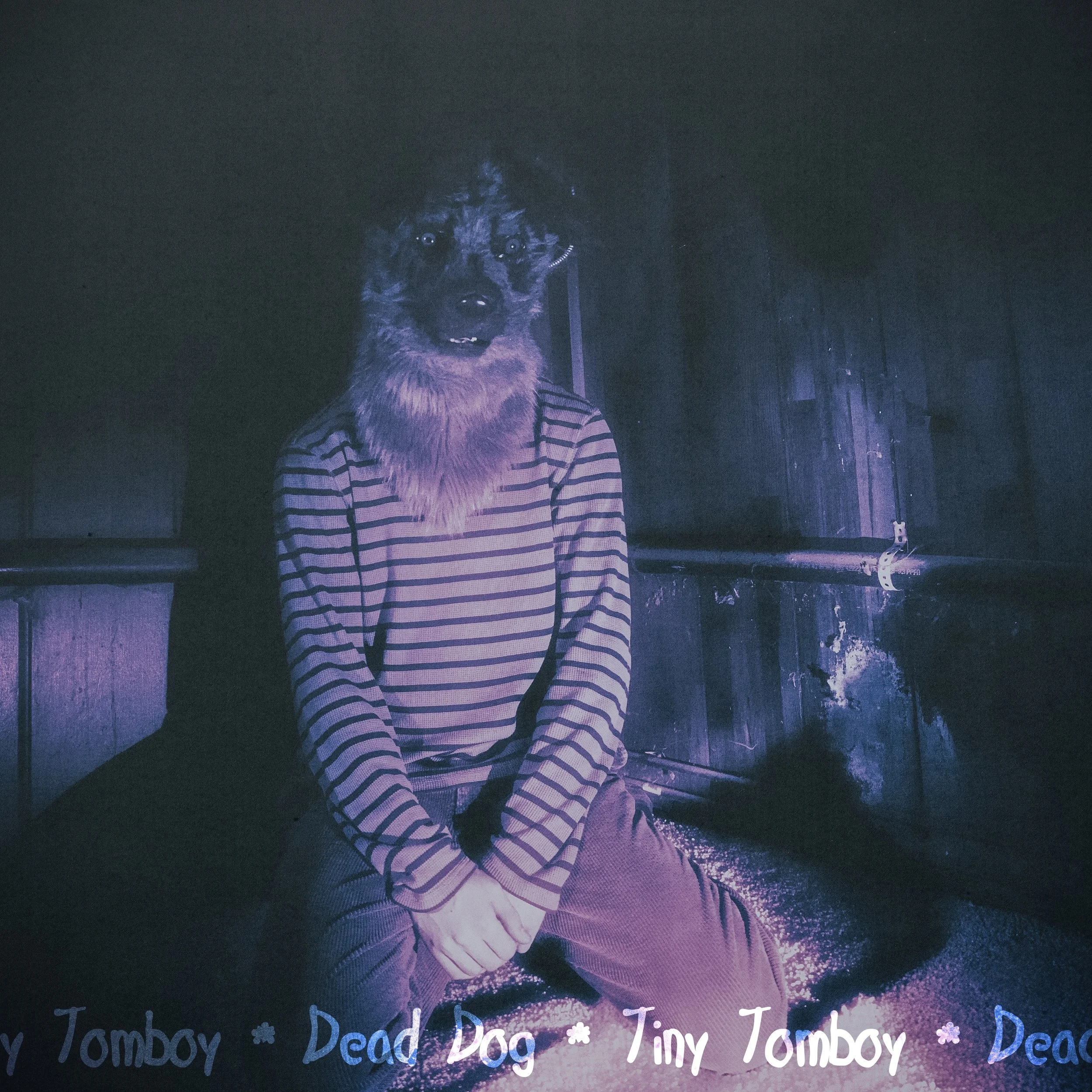 Tiny Tomboy rocks with explosive charm on "Dead Dog"