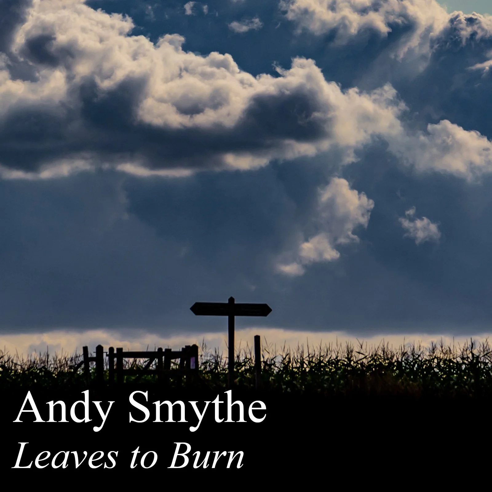 Andy Smythe cultivates a musical harvest with "Leaves To Burn"