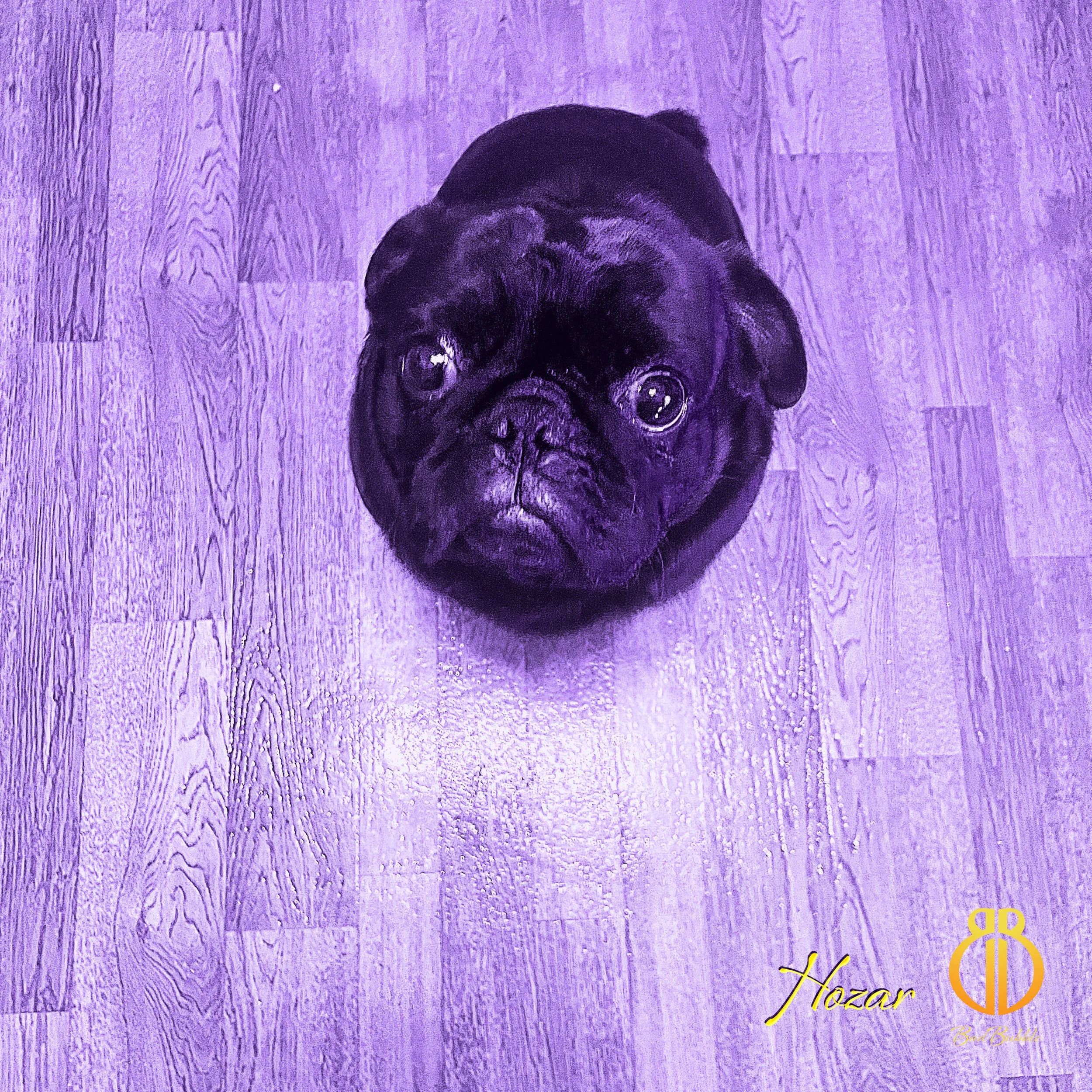 Bad Bubble mesmerizes with a Synth Pop journey on "Hozar"