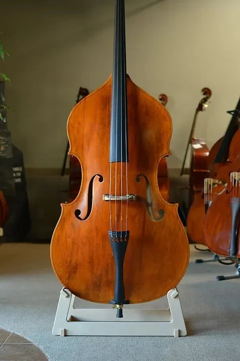 From Beginner to Pro: Mastering the Shen Upright Bass