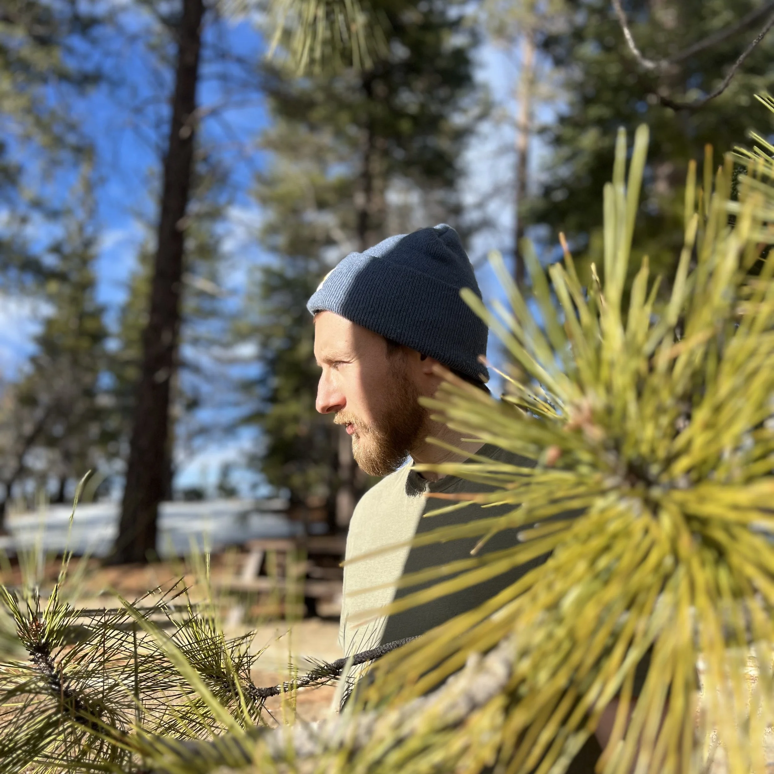 The Sound of Mountains crafts a sonic sanctuary with their Self-Titled album