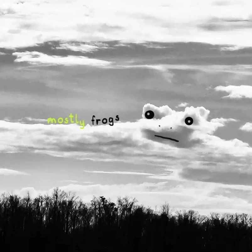 Mostly Frogs serve up unconventional fun on debut album "Cookin’ Cousins"