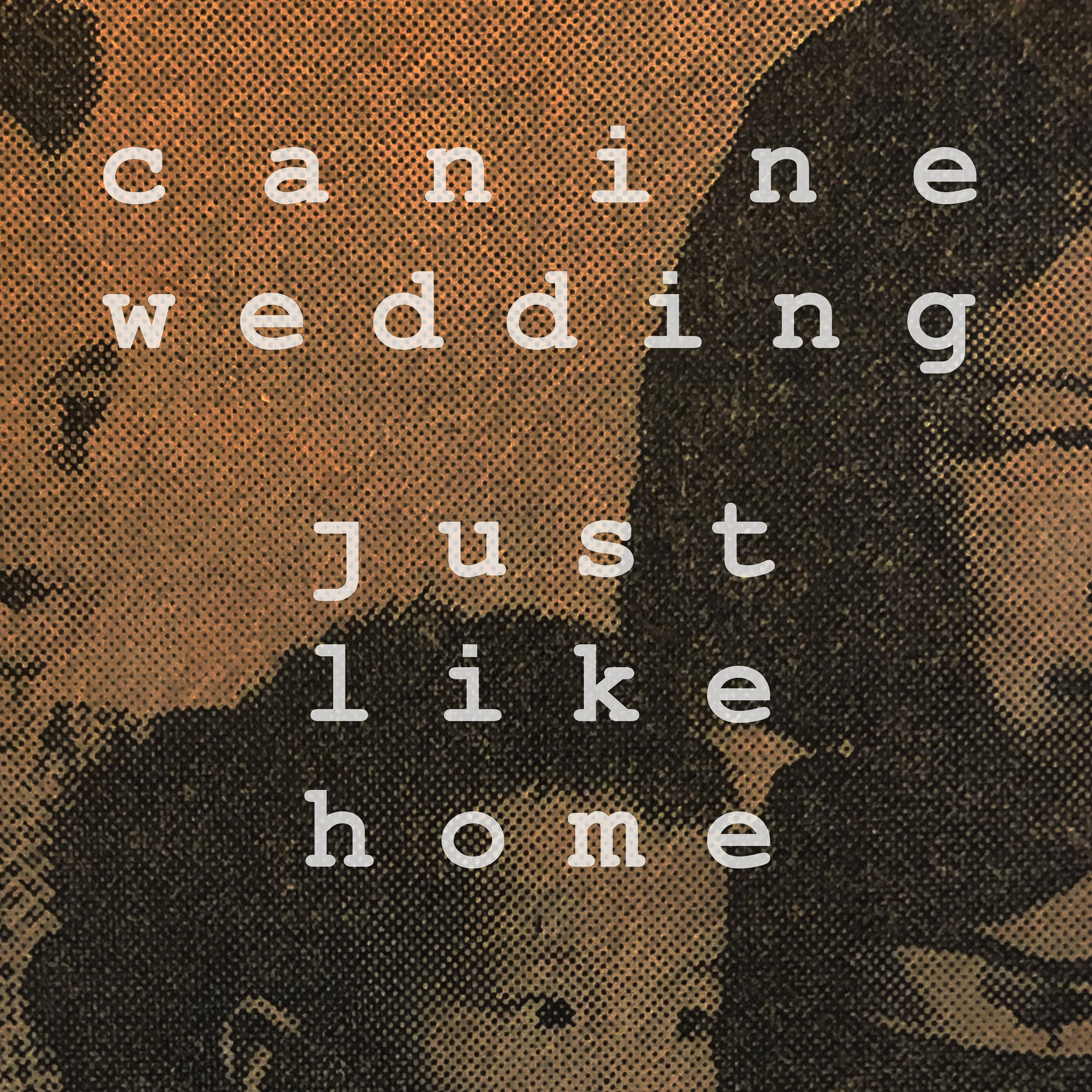 Canine Wedding’s “Just Like Home” perfectly captures the heartache of nostalgia