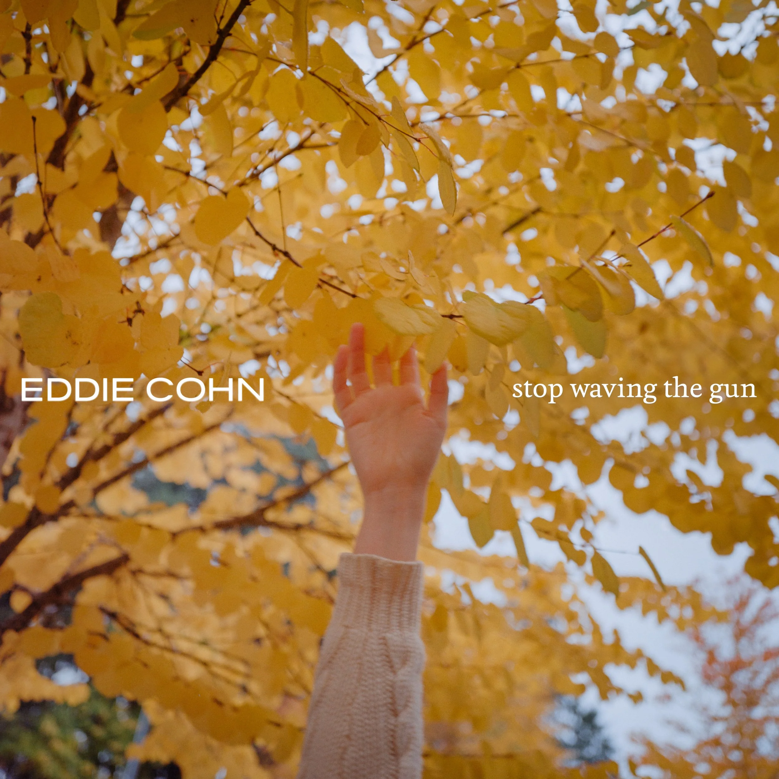  Eddie Cohn takes aim at Gun Culture with "Stop Waving the Gun"