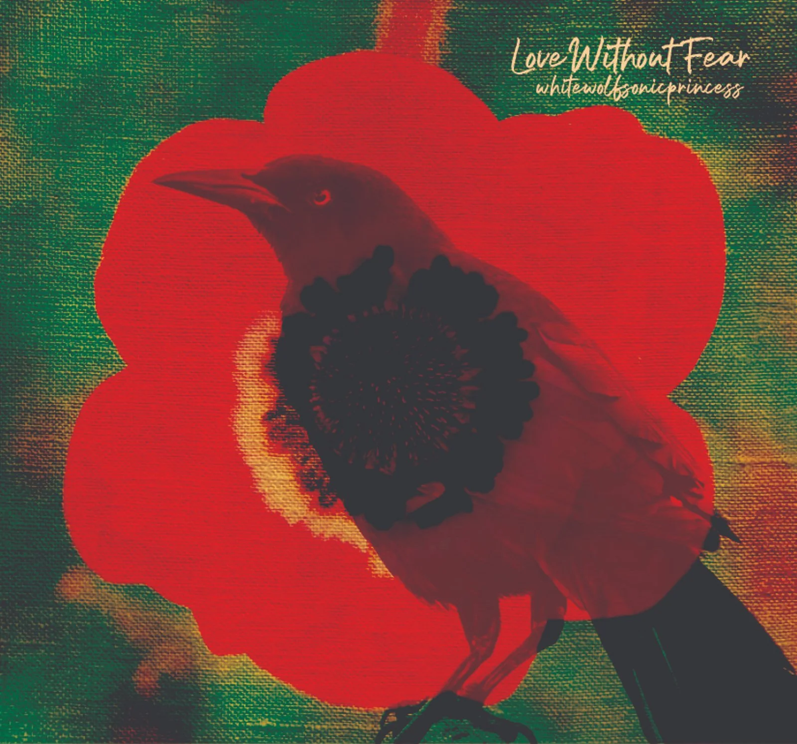 WhiteWolfSonicPrincess weaves a spiritual tapestry with album, "Love Without Fear"