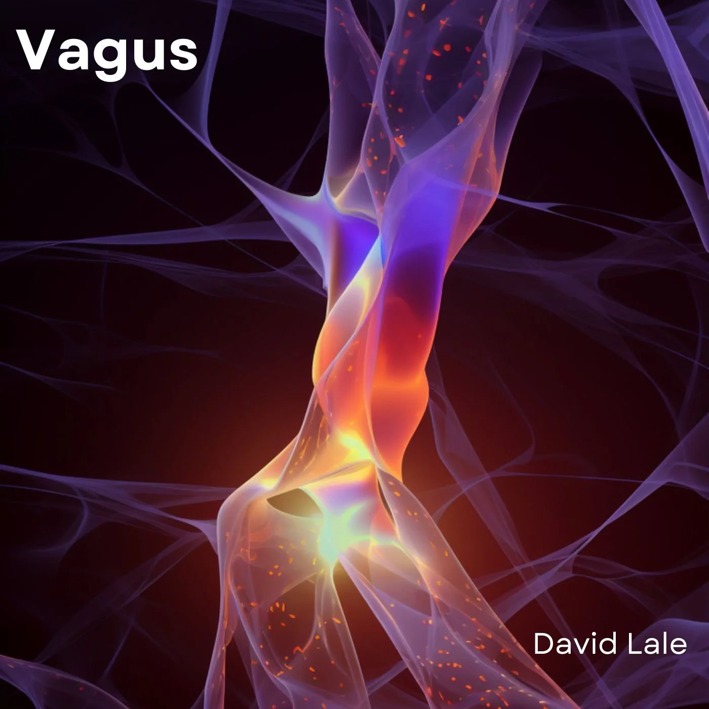 David Lale offers a Cinematic odyssey through sound &amp; emotion on "Vagus"