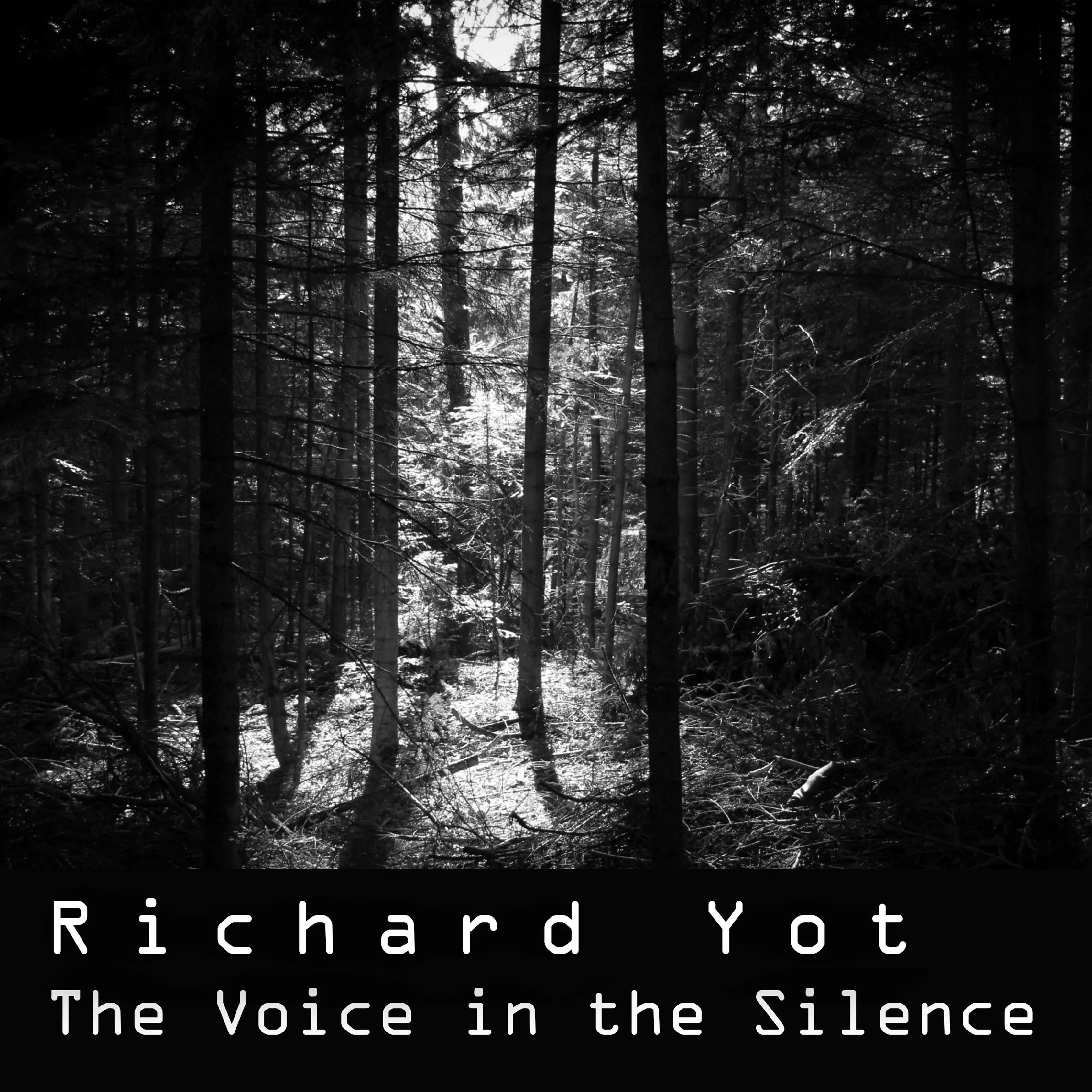 Richard Yot’s "The Voice in the Silence" transforms into a haunting sonic odyssey