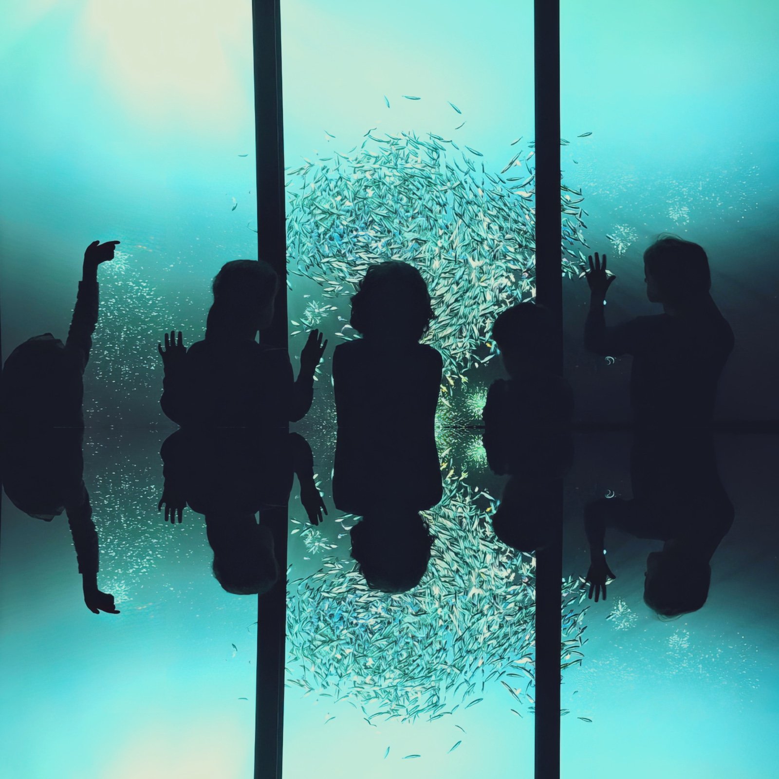 Darkroom Data’s single “First Echo” is a haunting, cinematic slow burn