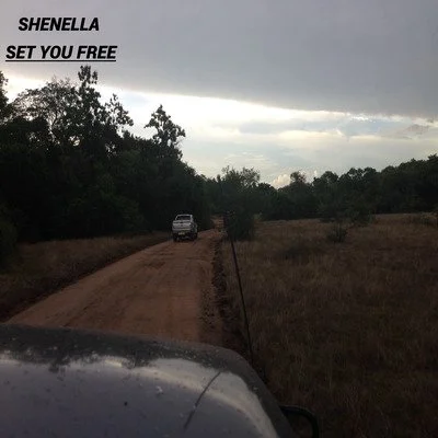 Shenella lets her vocals soar on latest single, "Set You Free"