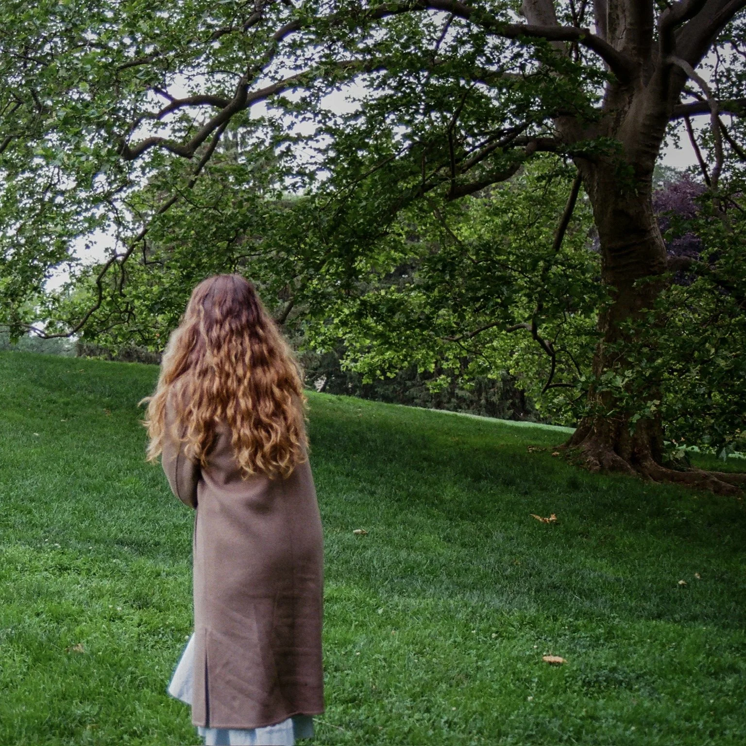 Izzy Imamura finds quiet brilliance on standout single, “Shade of Green”