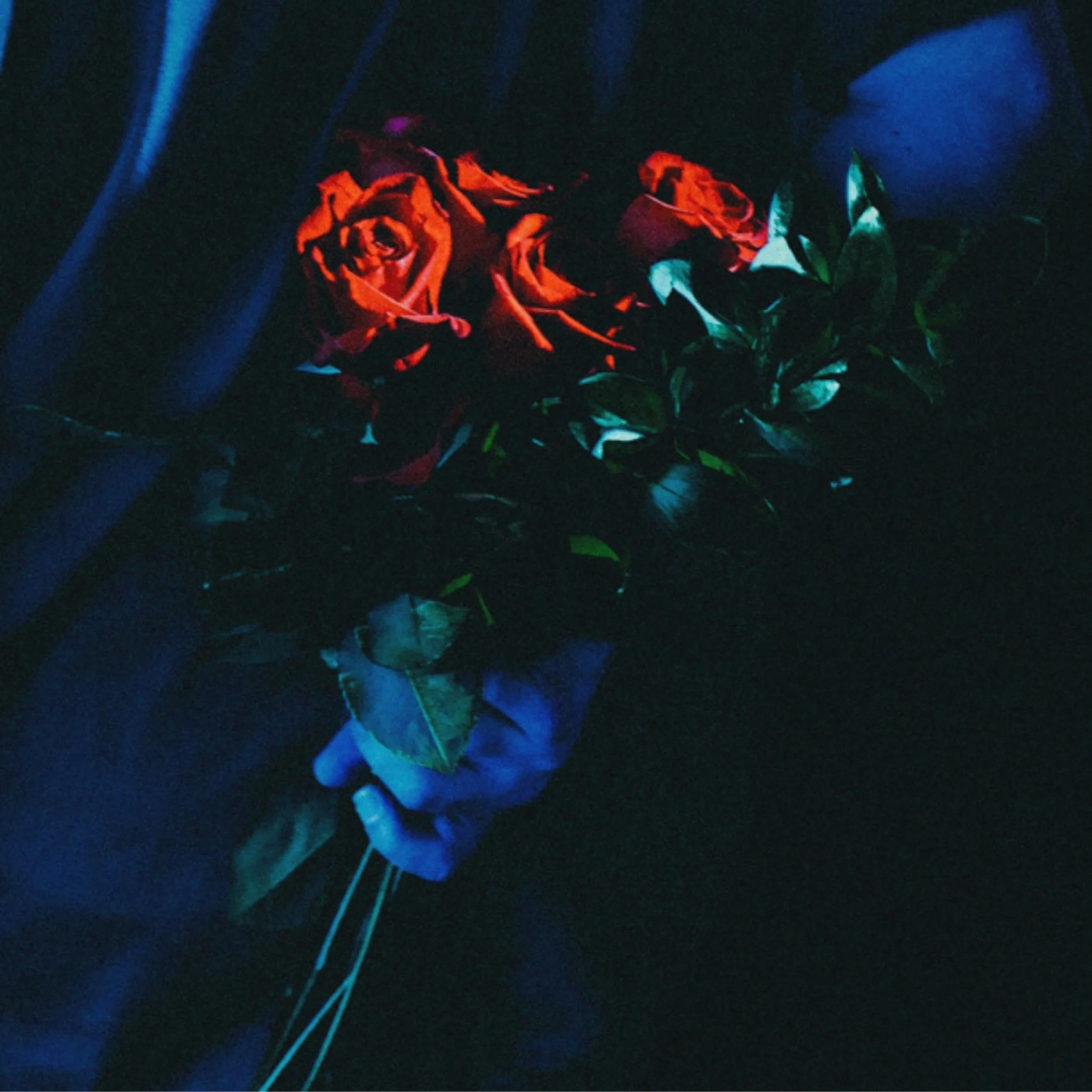 TYYE finds heartbreak’s groove on cathartic single, “whole thing”