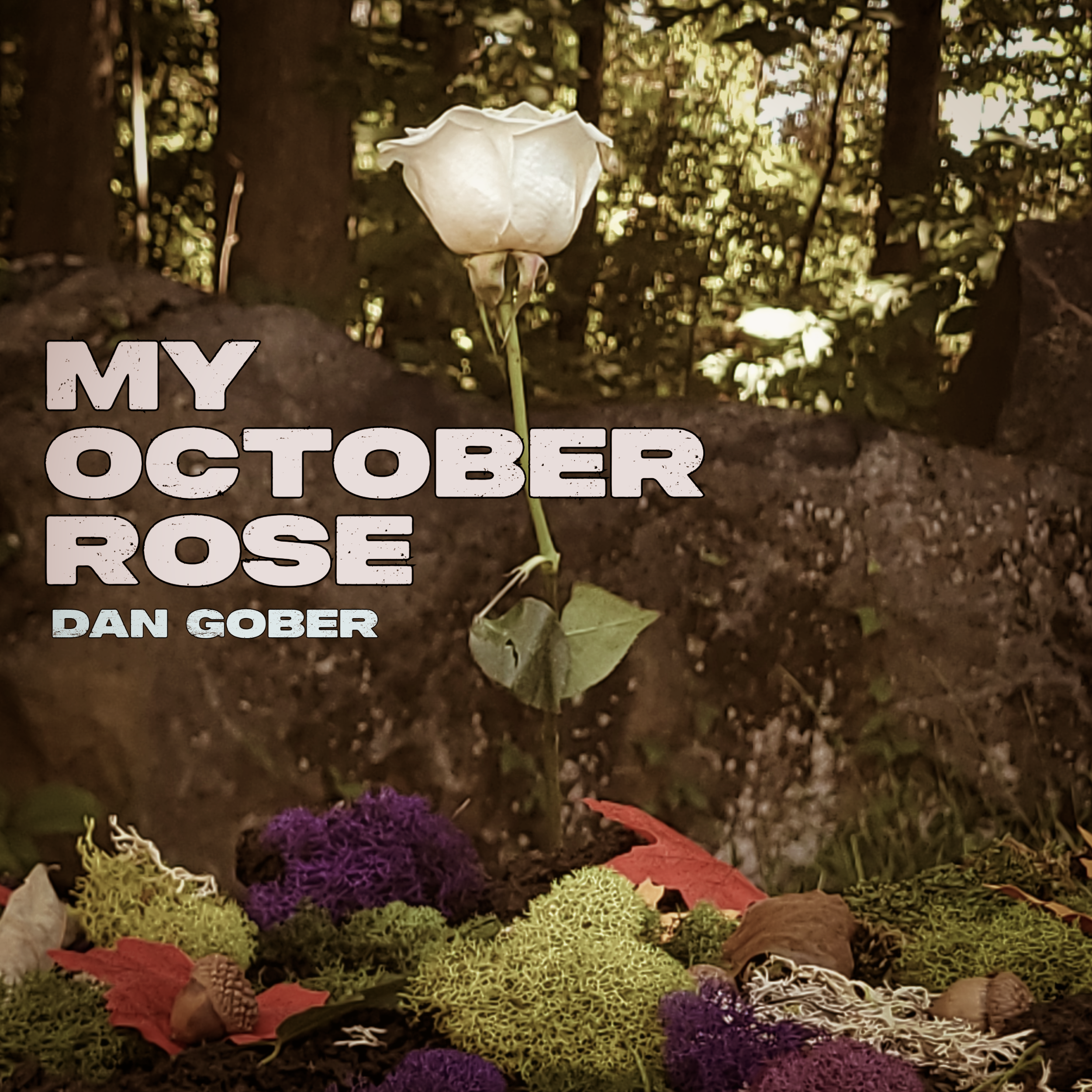 Dan Gober blooms with emotion on single, “My October Rose”
