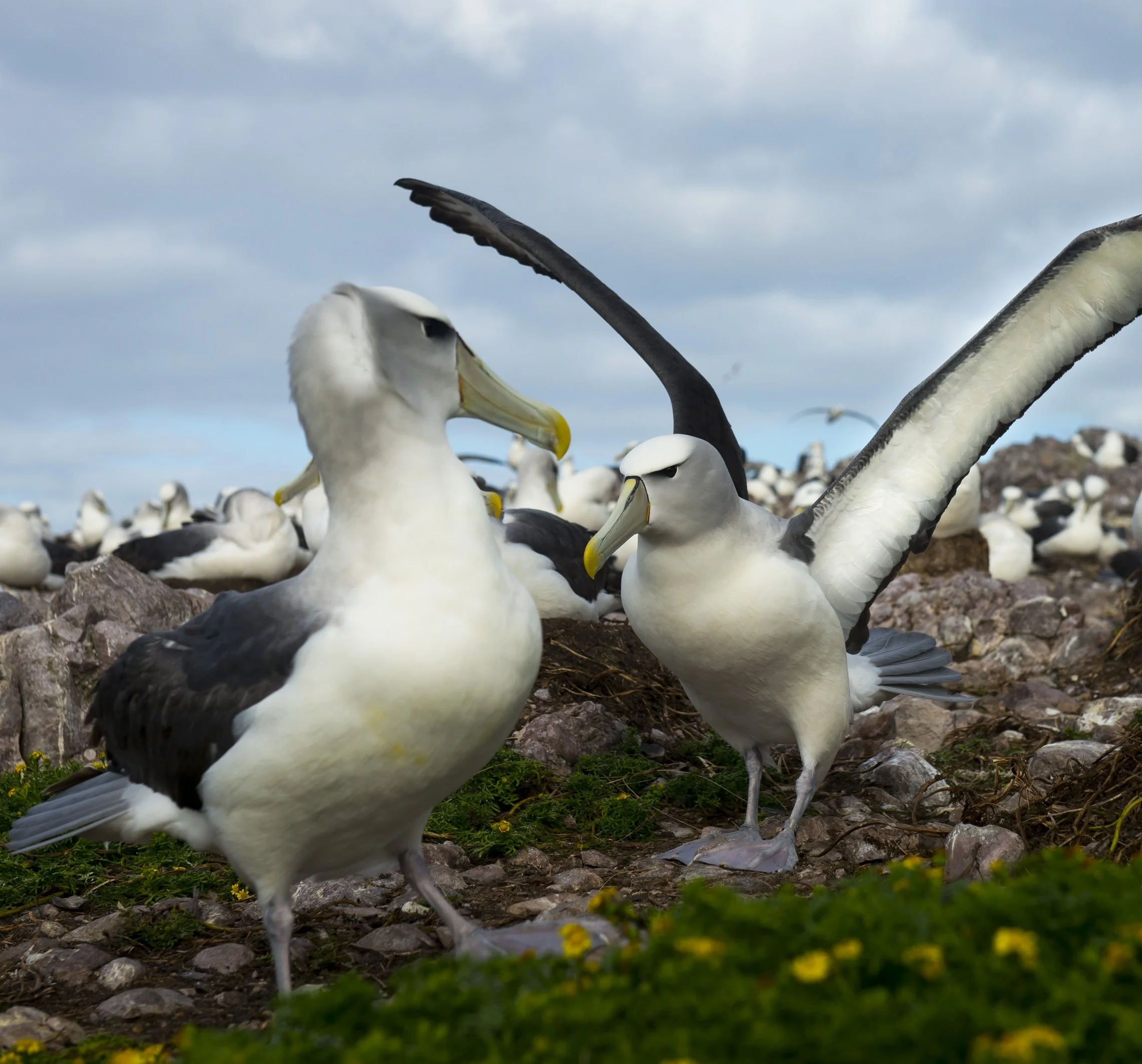 Kadjavsi finds beauty in the uncertain on “So Arbitrary”