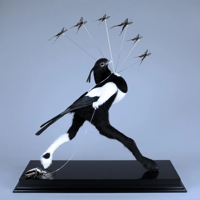 THORN make a massive statement with relentless single, “THE PEOPLE”