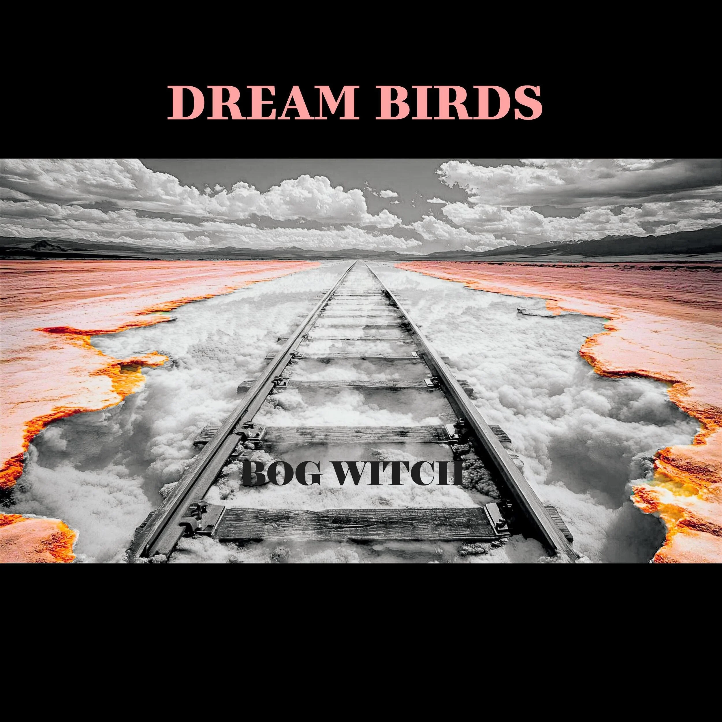 Bog Witch casts a spell with a stripped back Folk lullaby, "Dream Birds"