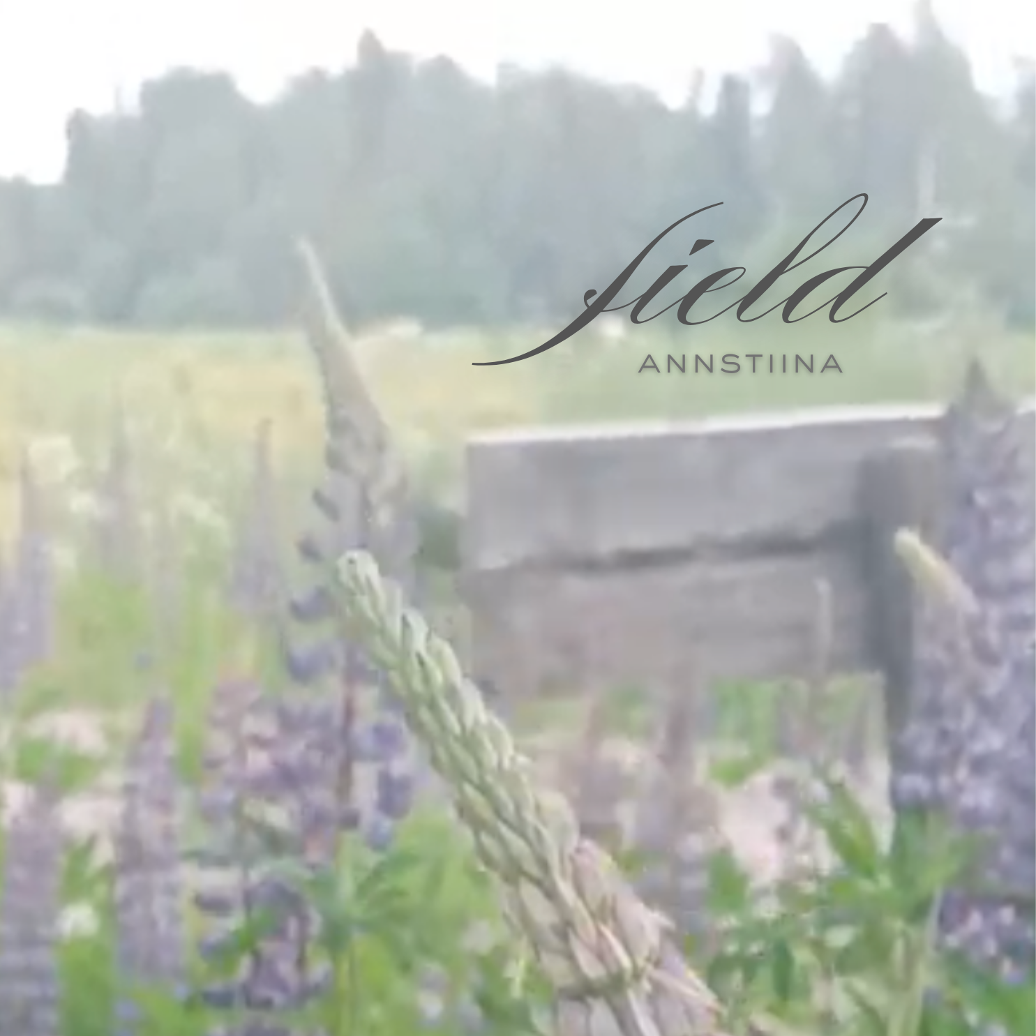 Annstiina takes a minimalistic approach on outstanding piano-led EP, "field"