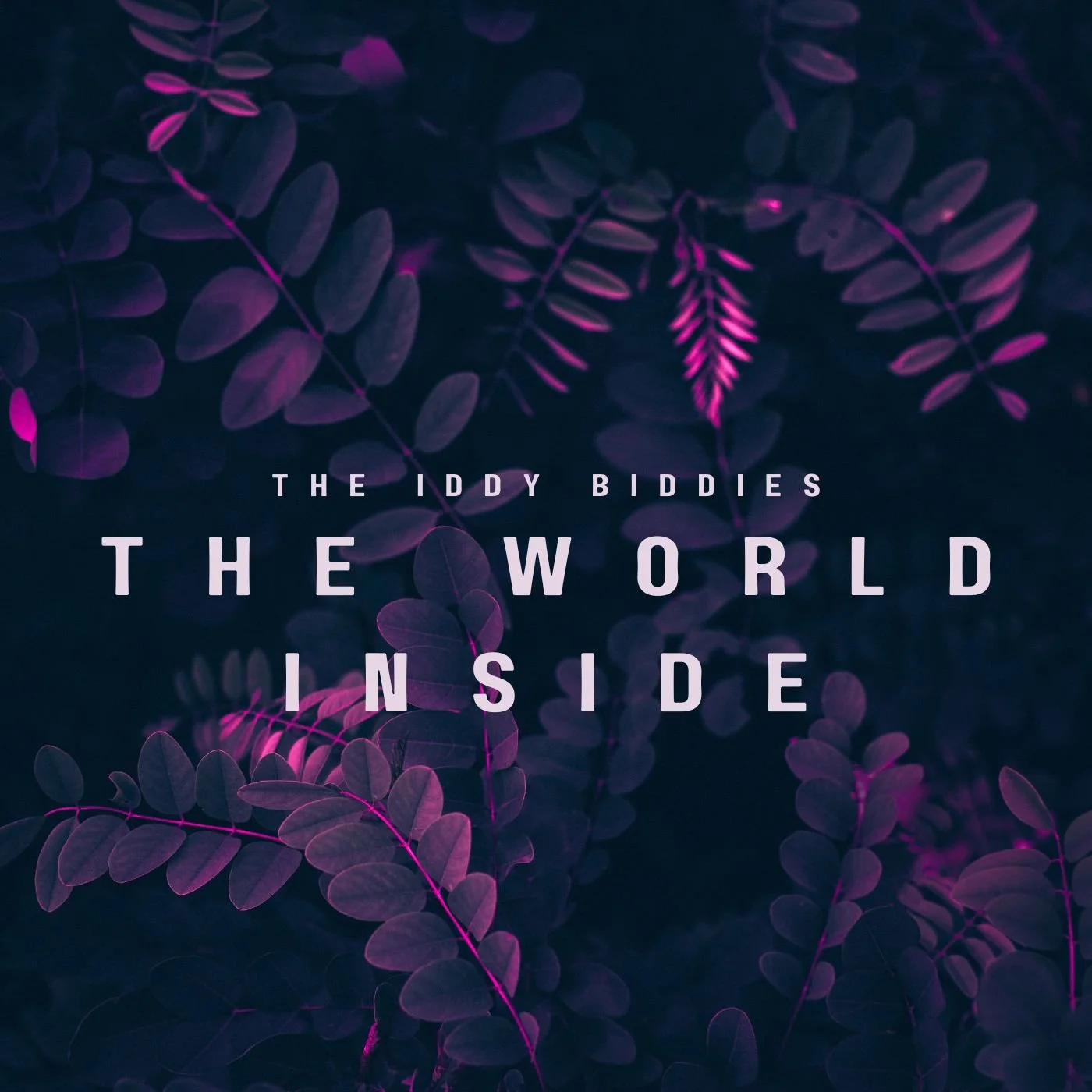 The Iddy Biddies expand their sound on latest album, "The World Inside"