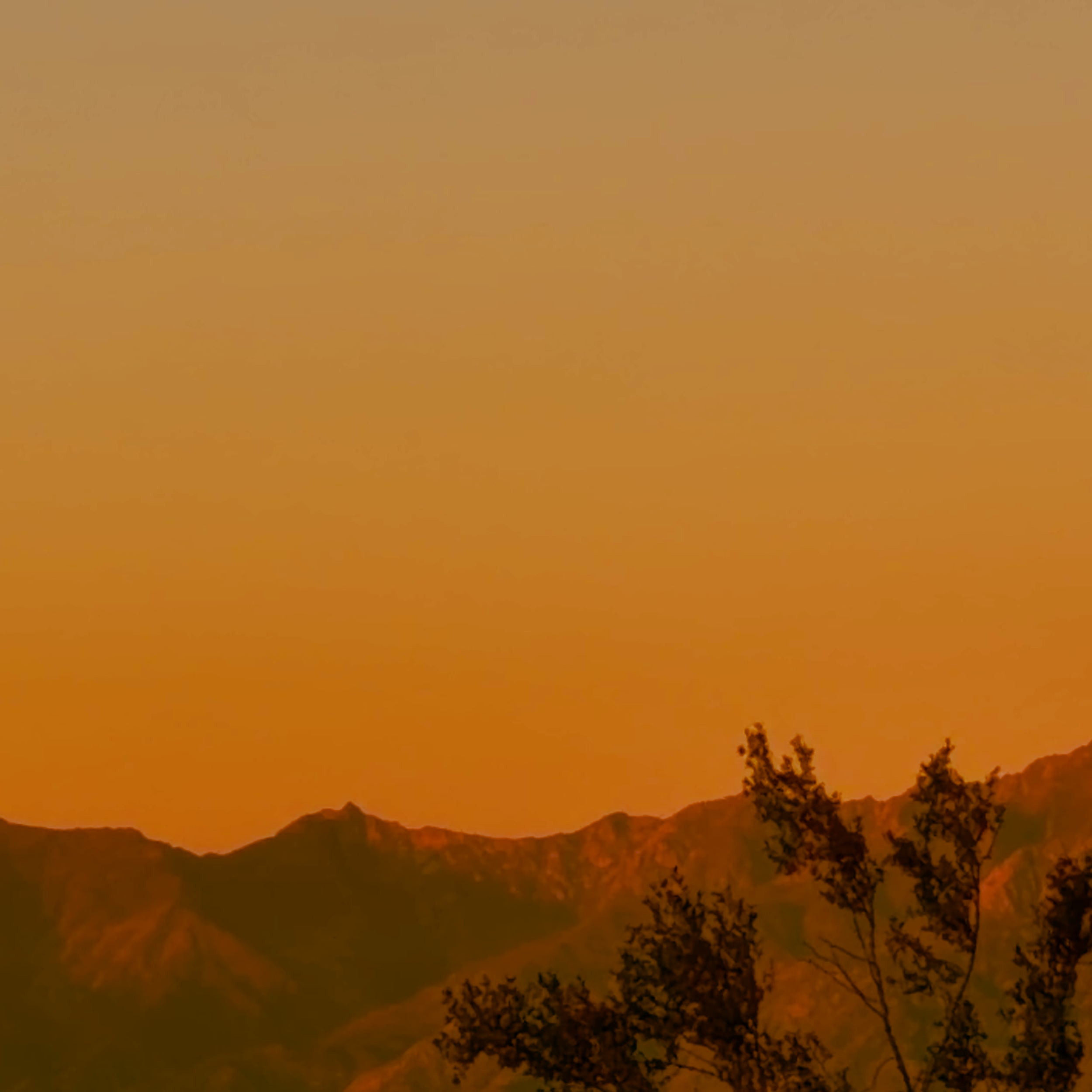 Freedom Anon emerges with a cinematic debut, "Mercurial"