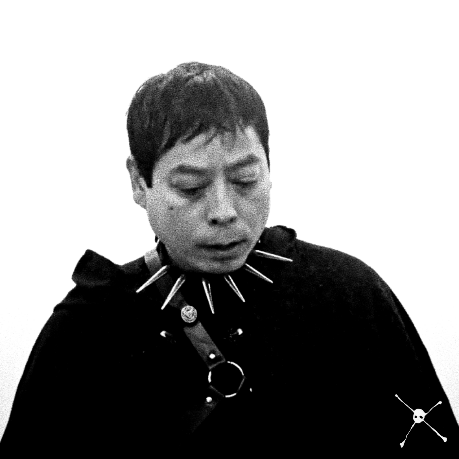 Ten-Headed Skeleton confronts their past on album, "Troubadours Drown In Lakes"