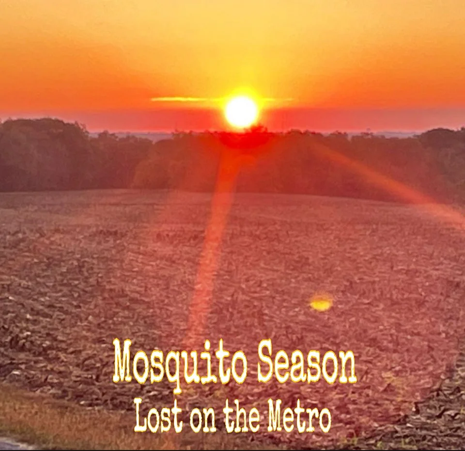 Lost on the Metro’s “Mosquito Season” finds beauty in what goes unsaid