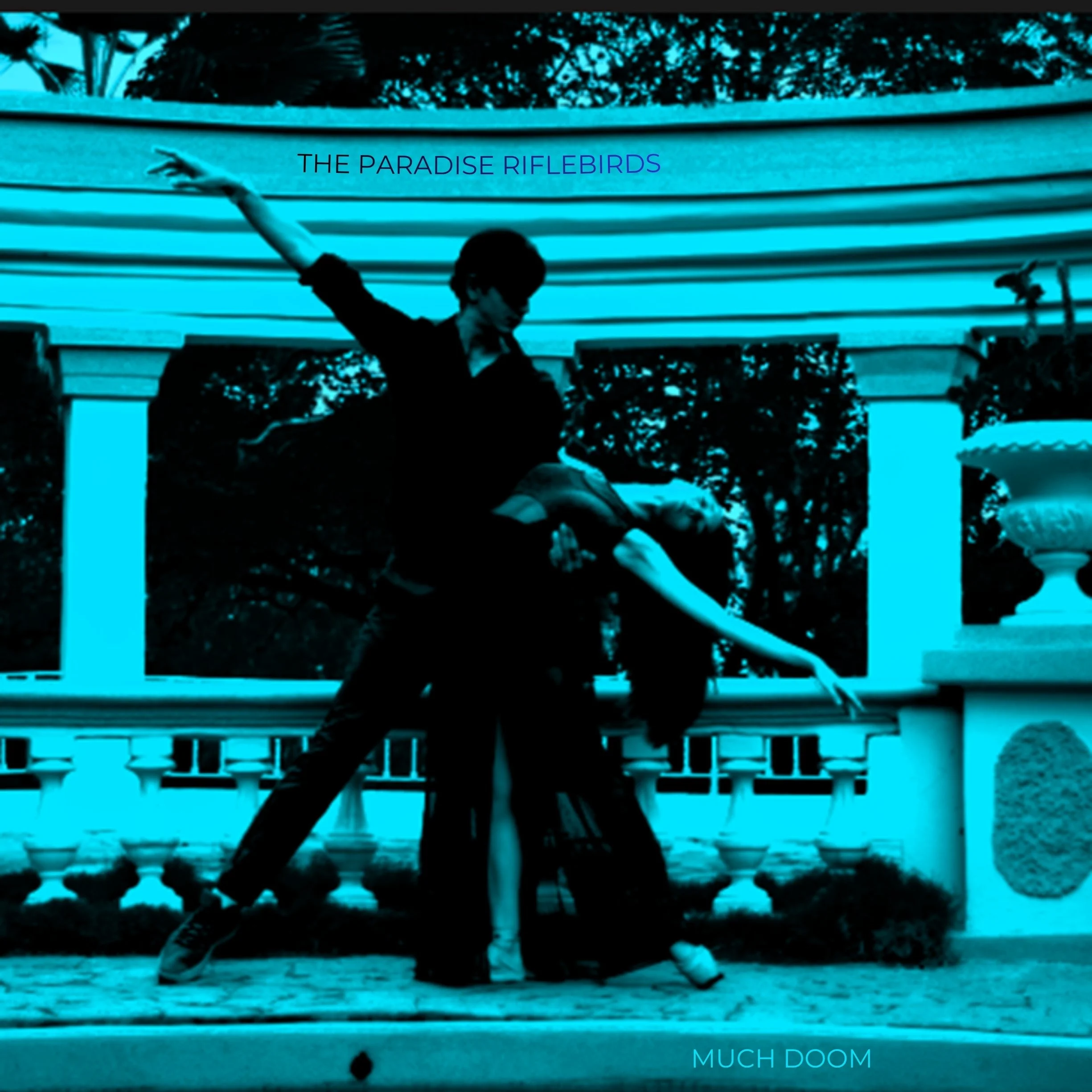 The Paradise Riflebirds prove less is more on single &amp; video for “Much Doom”