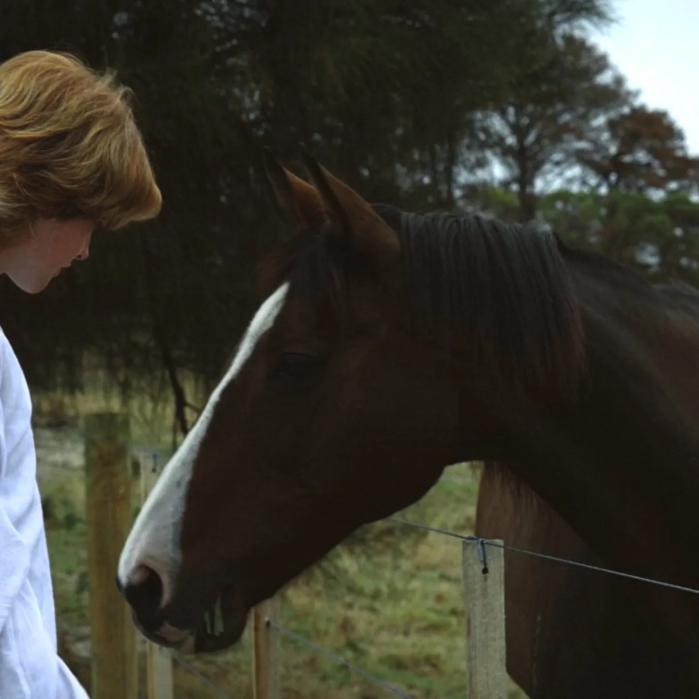 Tom Morfitt-White shares a stunning single &amp; video for “Home”