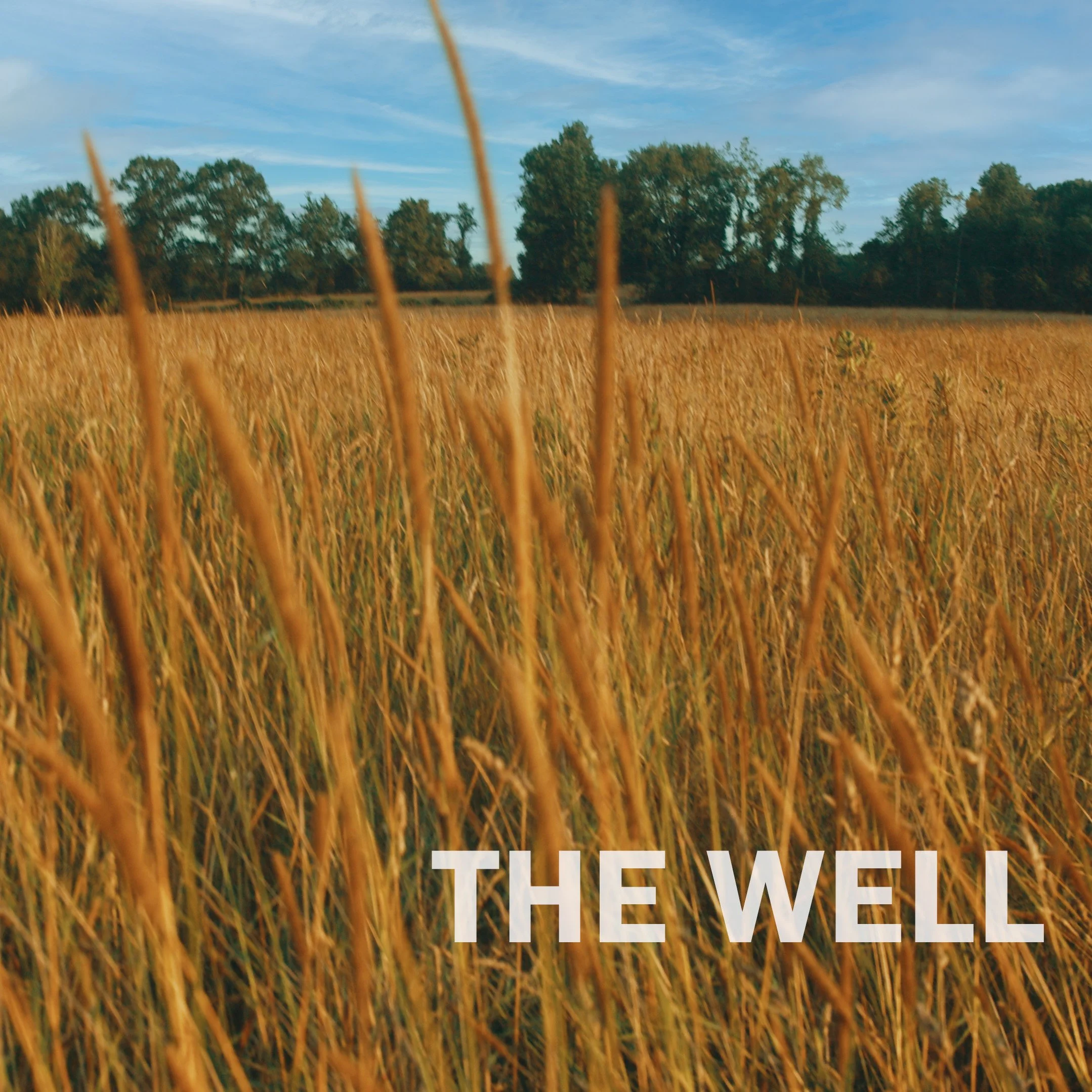 Hilary Cousins bares his soul on the stunning Piano ballad, "The Well"