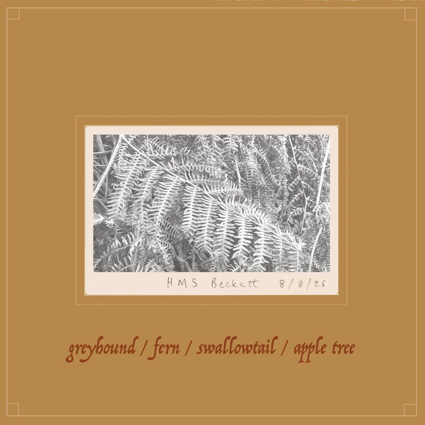 HMS Beckett delivers a stunning meditation with album, "greyhound / fern / swallowtail / apple tree"