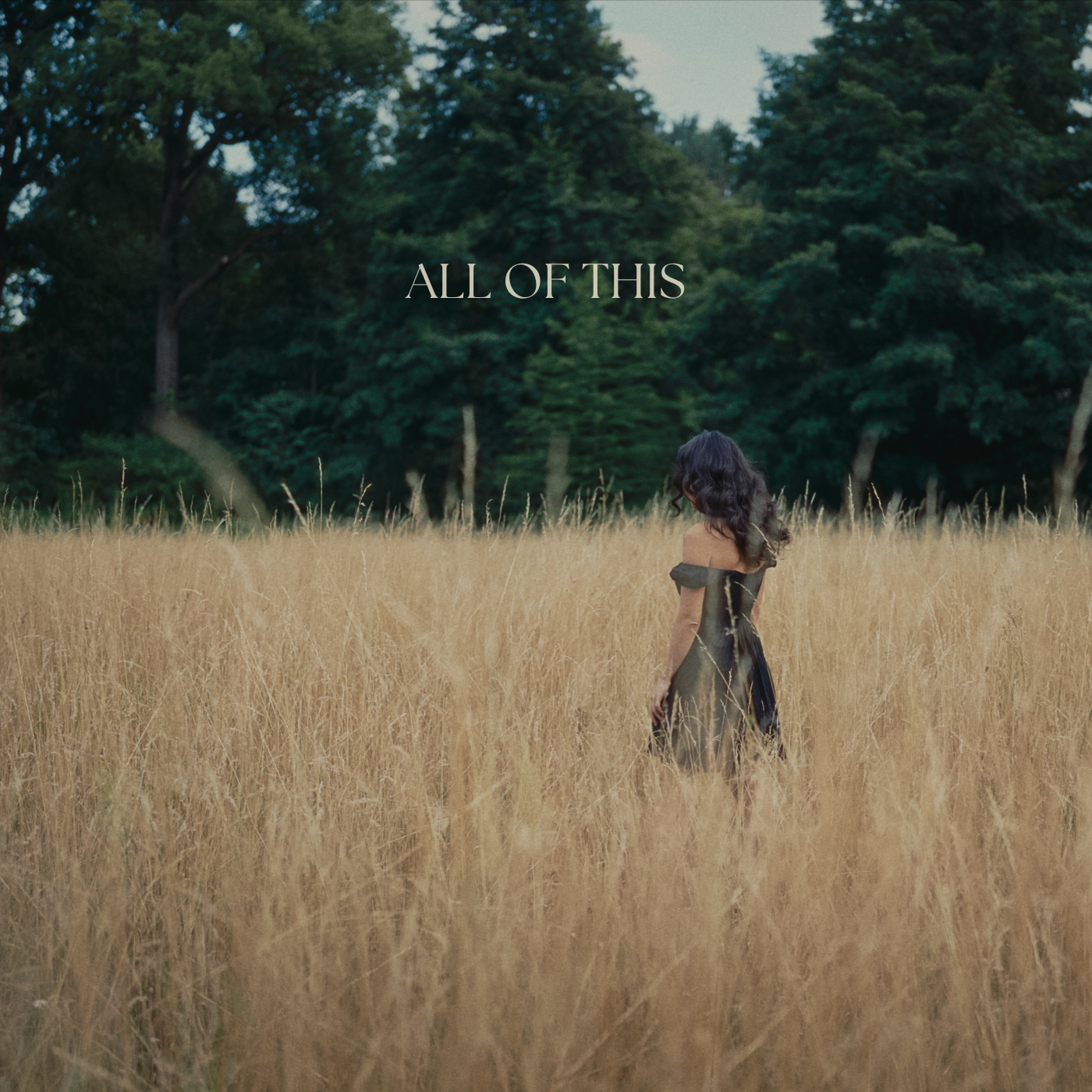 Alla Igityan finds beauty in simplicity on a new single, "All of This"