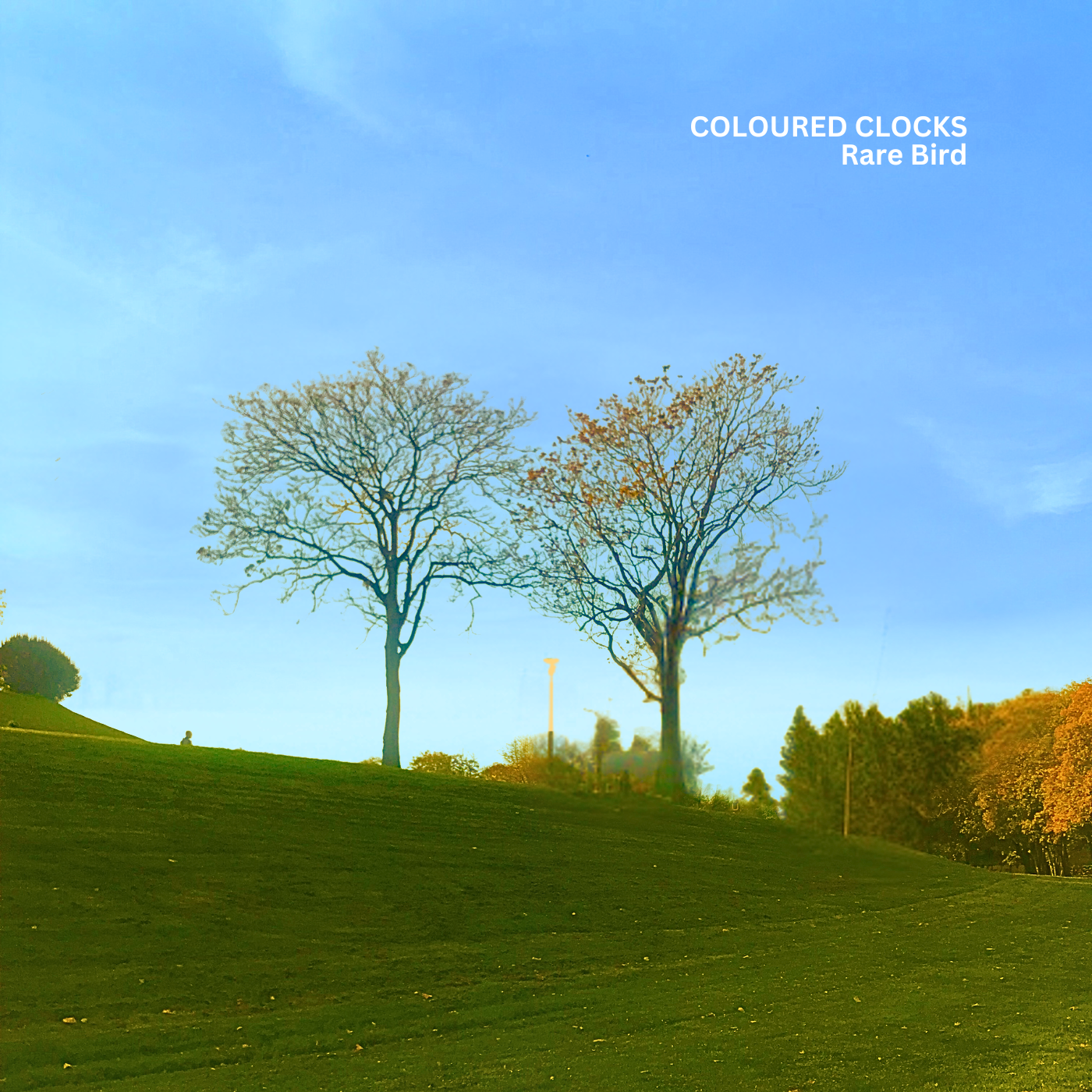 Coloured Clocks reaches new creative heights on his album, "Rare Bird"