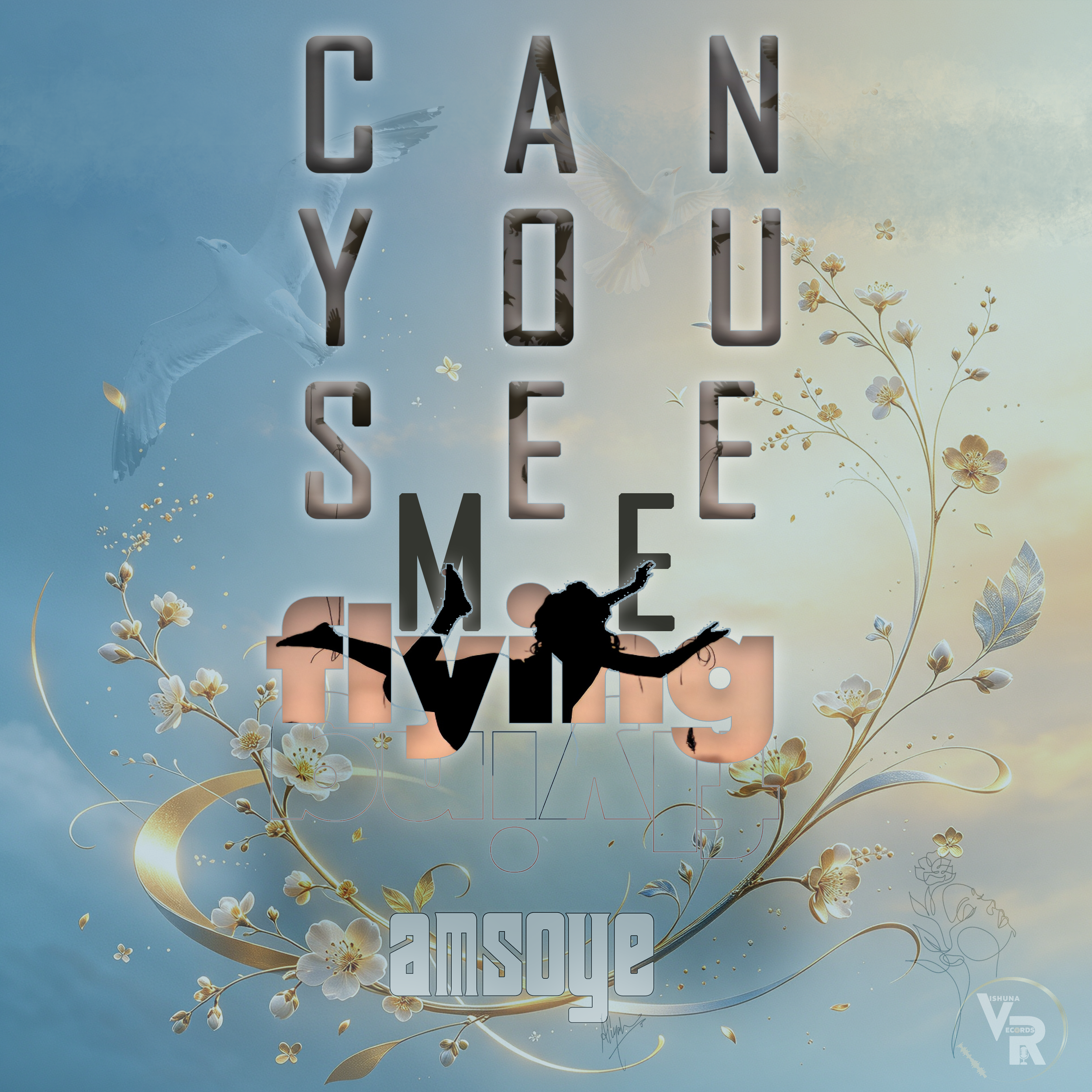 Amsoye soars with the beautifully reflective "Can You See Me Flying"