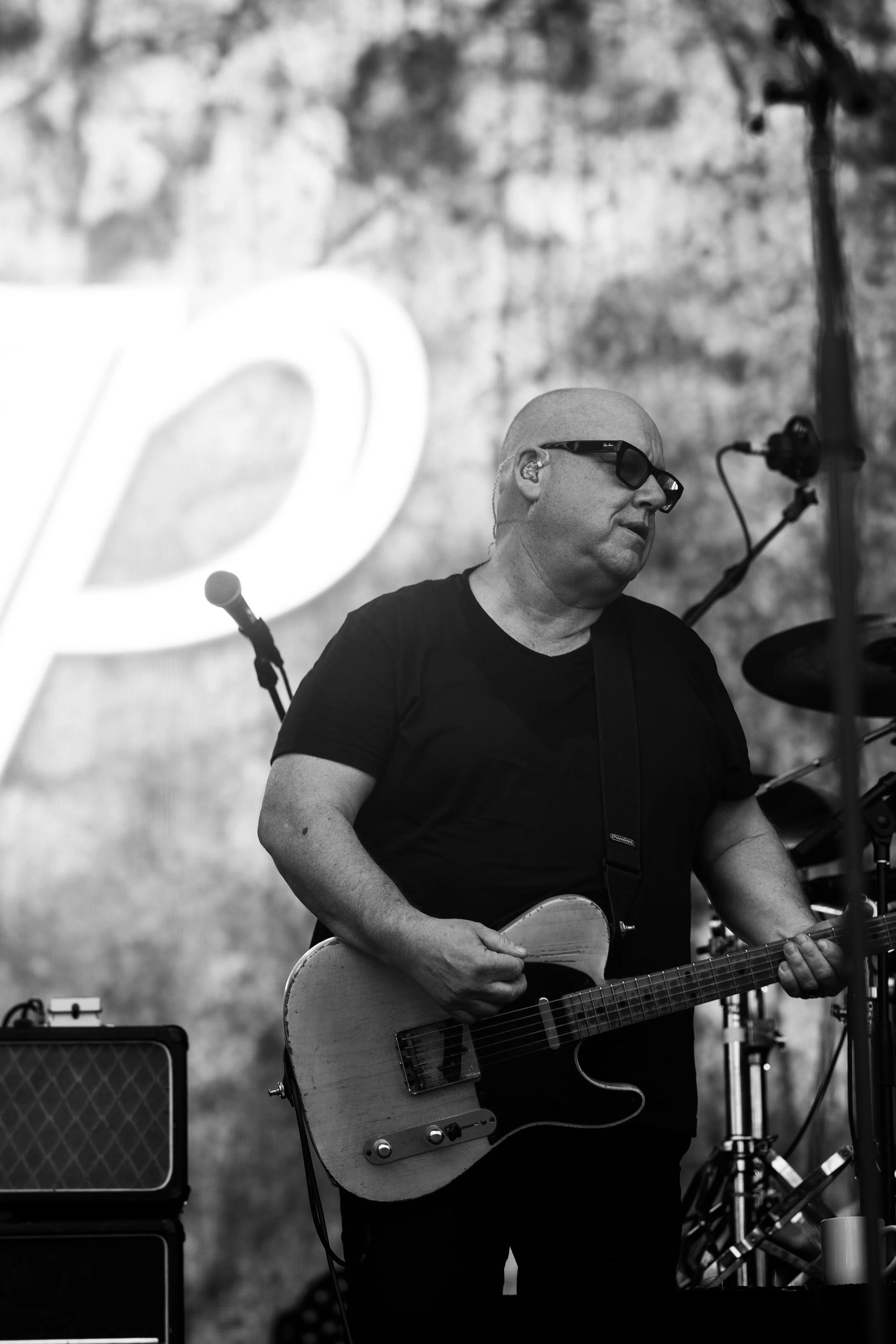 PIXIES1.jpeg