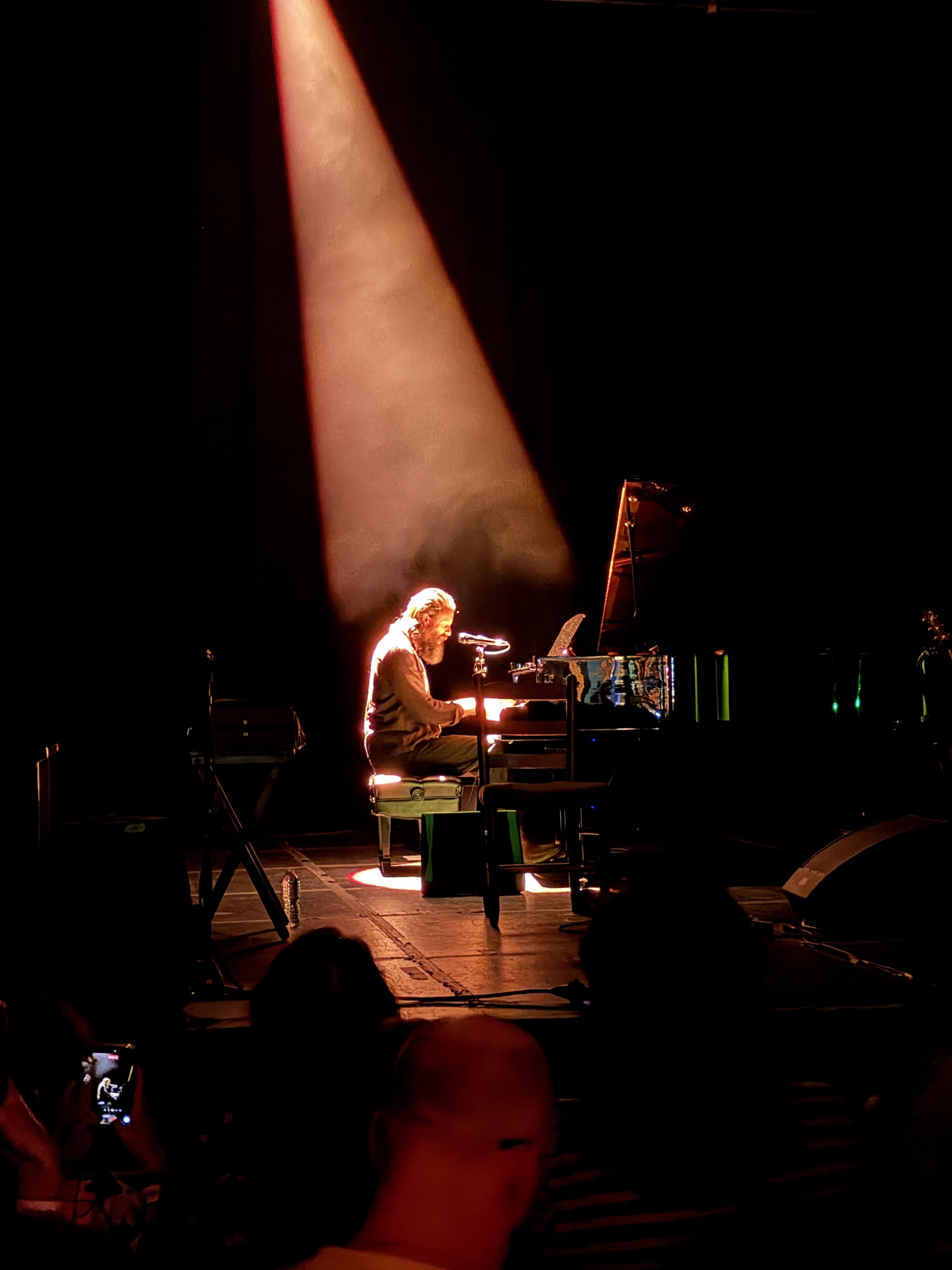 FatherJohnMistySoloTheFondaTheatreLosAngeles5.JPG