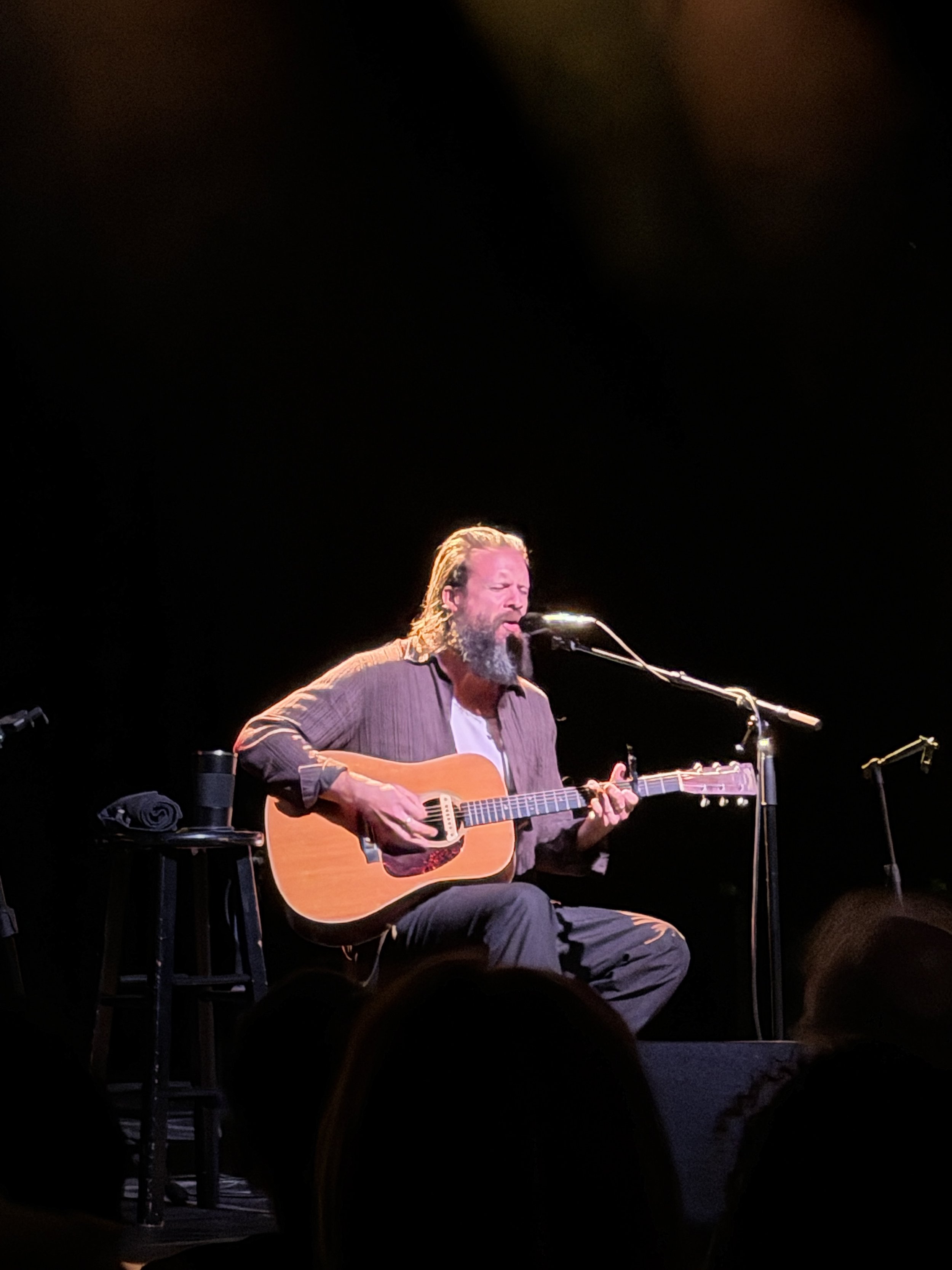 FatherJohnMistySoloTheFondaTheatreLosAngeles6.JPG