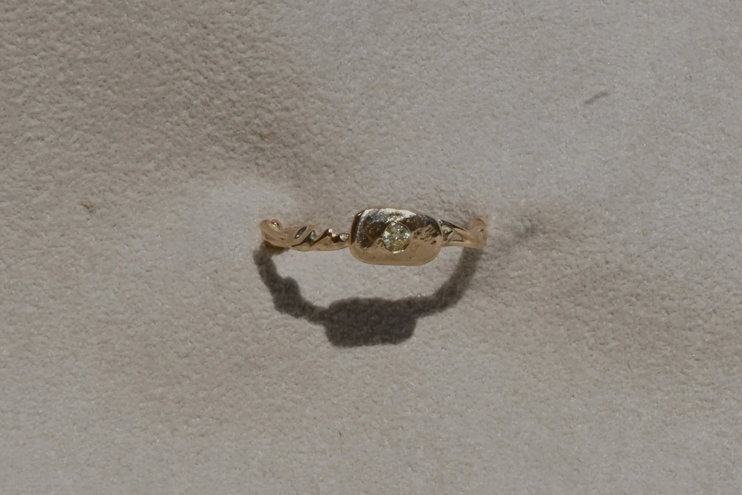 DSC_9164.JPG