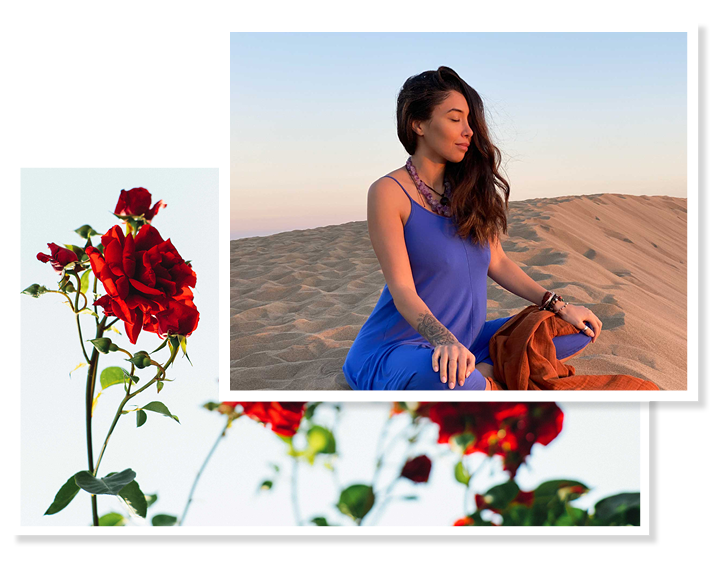 Wild Chils_about3.png