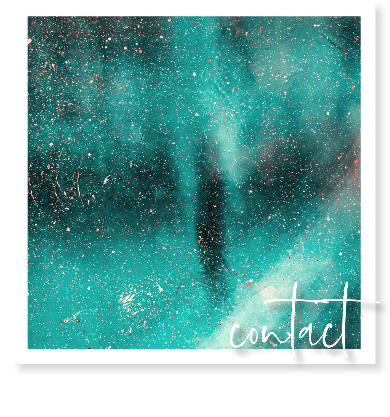 Wild Child Elements_homepage thumbs_r12.jpg