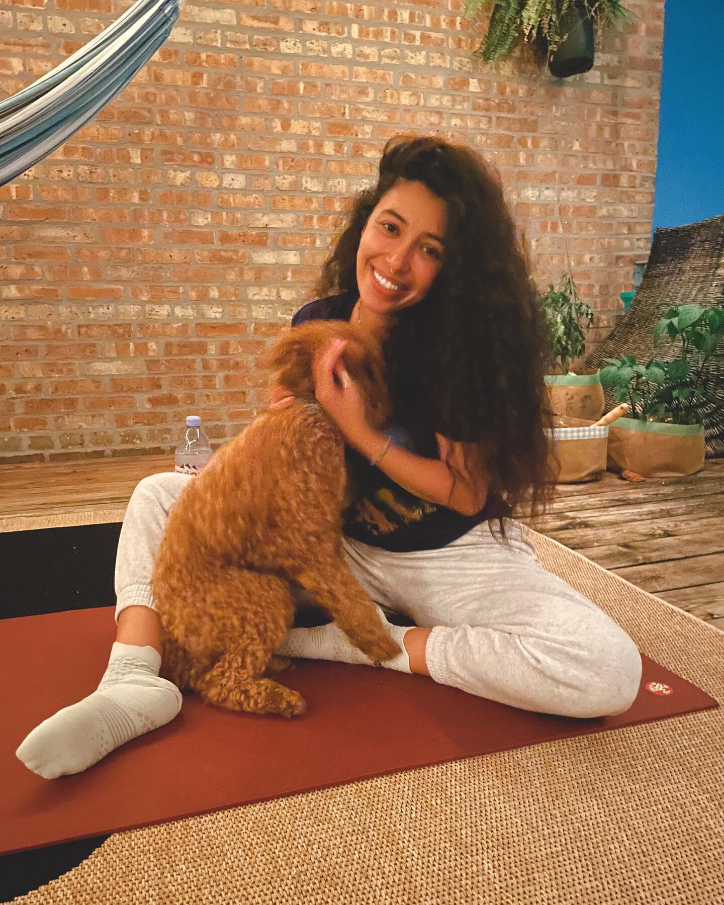 you know the vibes&hellip; 🌿🐾🌖🧘🏽&zwj;♀️