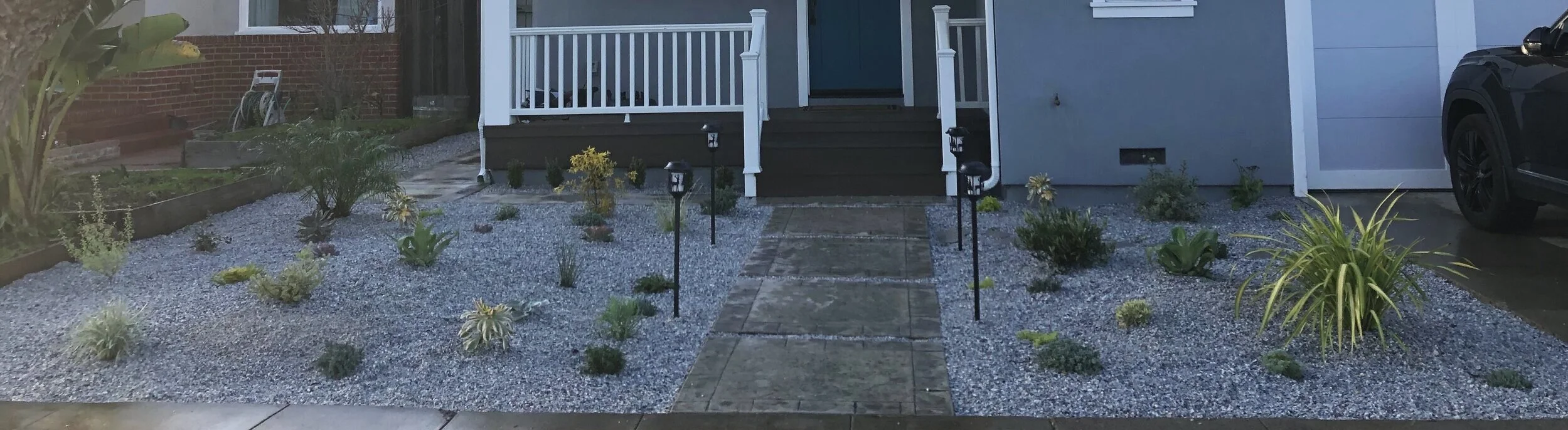 Planted February 2020