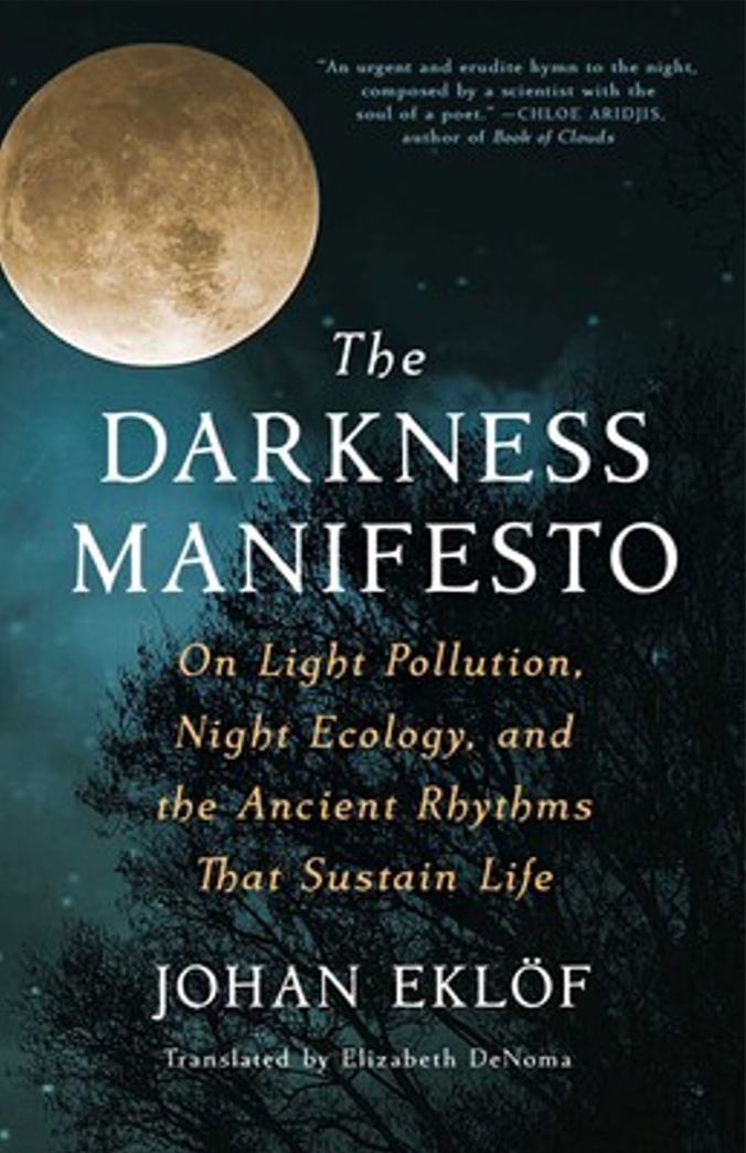 The Darkness Manifesto by Johan Eklöf, Translation from Swedish
