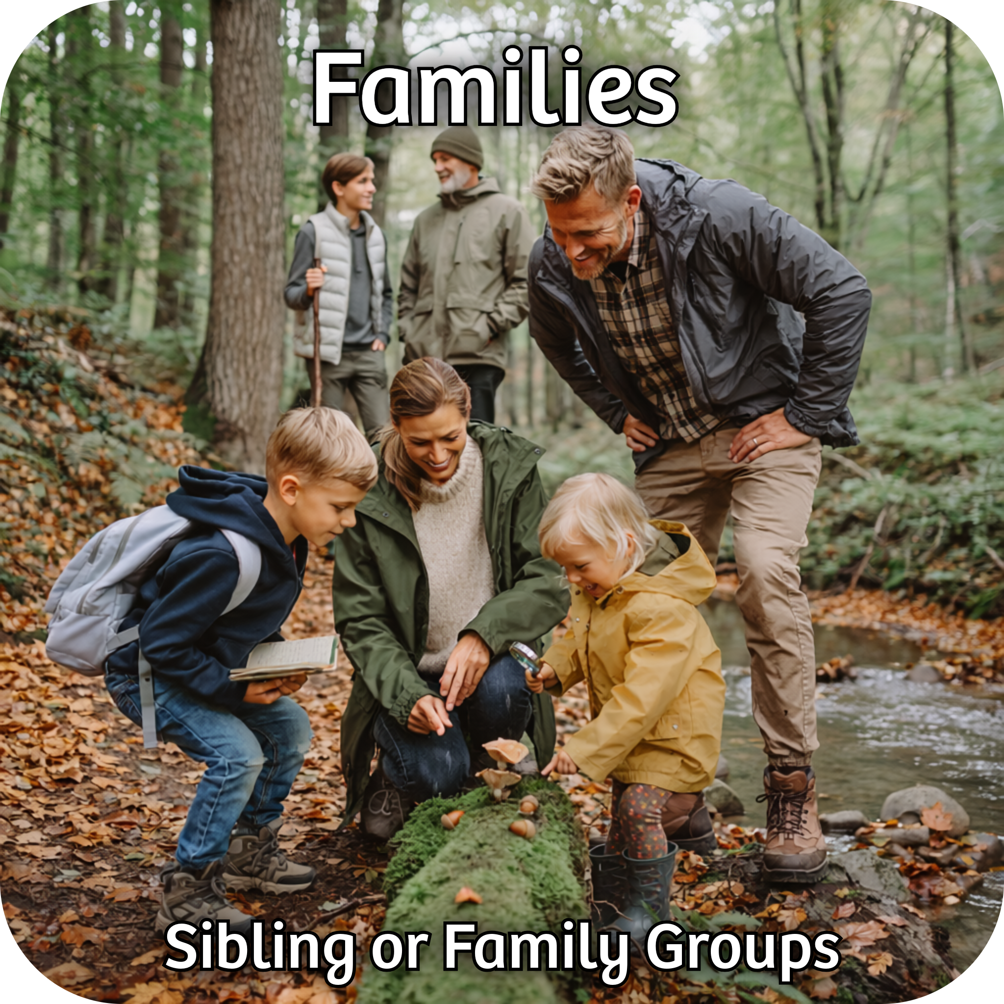 Young family looking at objects on a log in a woodland setting.  Grandfather and teenager talking in the background.