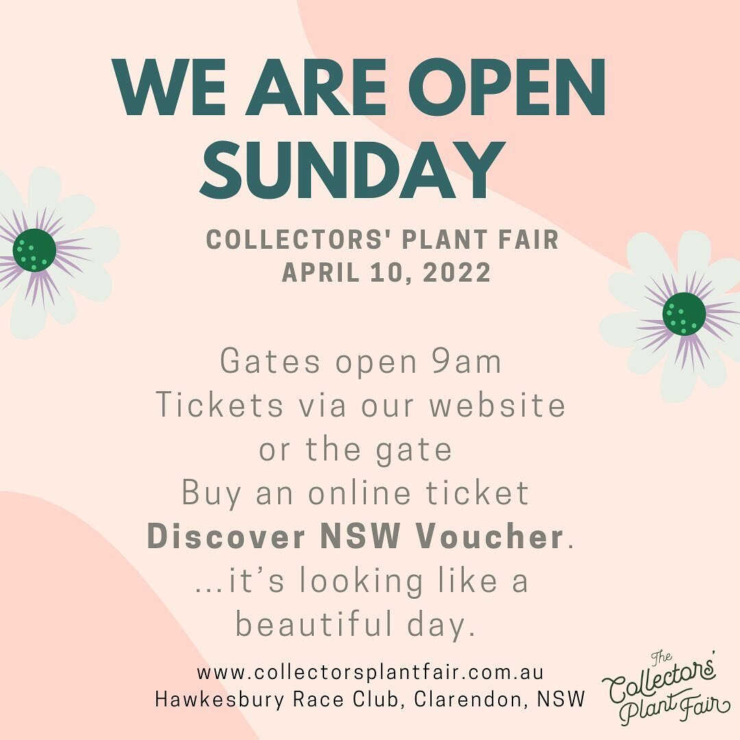 We look forward to welcoming you to the best plant fair in AUSTRALIA. Tables are stocked, the sky is blue and we are smiling!  We are open until 4pm Sunday. 

Saturday tickets valid on Sunday. Roads are open. Weather looks awesome. Bring sun hats,  s