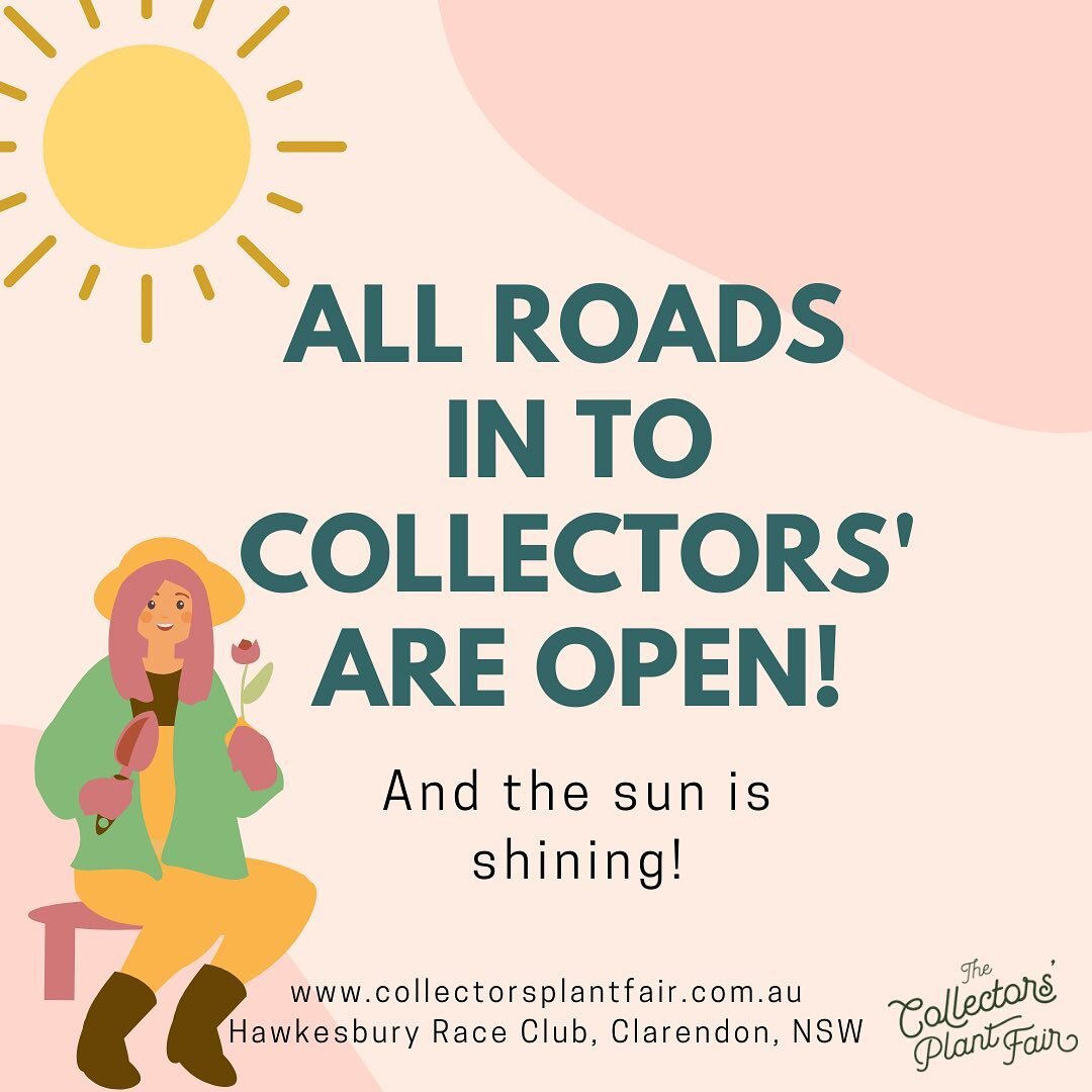 It&rsquo;s sunshine and smiles here at Collectors&rsquo; today!!! ☀️ 

All roads leading to the Fair are open and your favourite growers have a beautiful array of new plant friends just waiting to meet you!! 🌱🪴

Open now until 4pm today at Hawkesbu