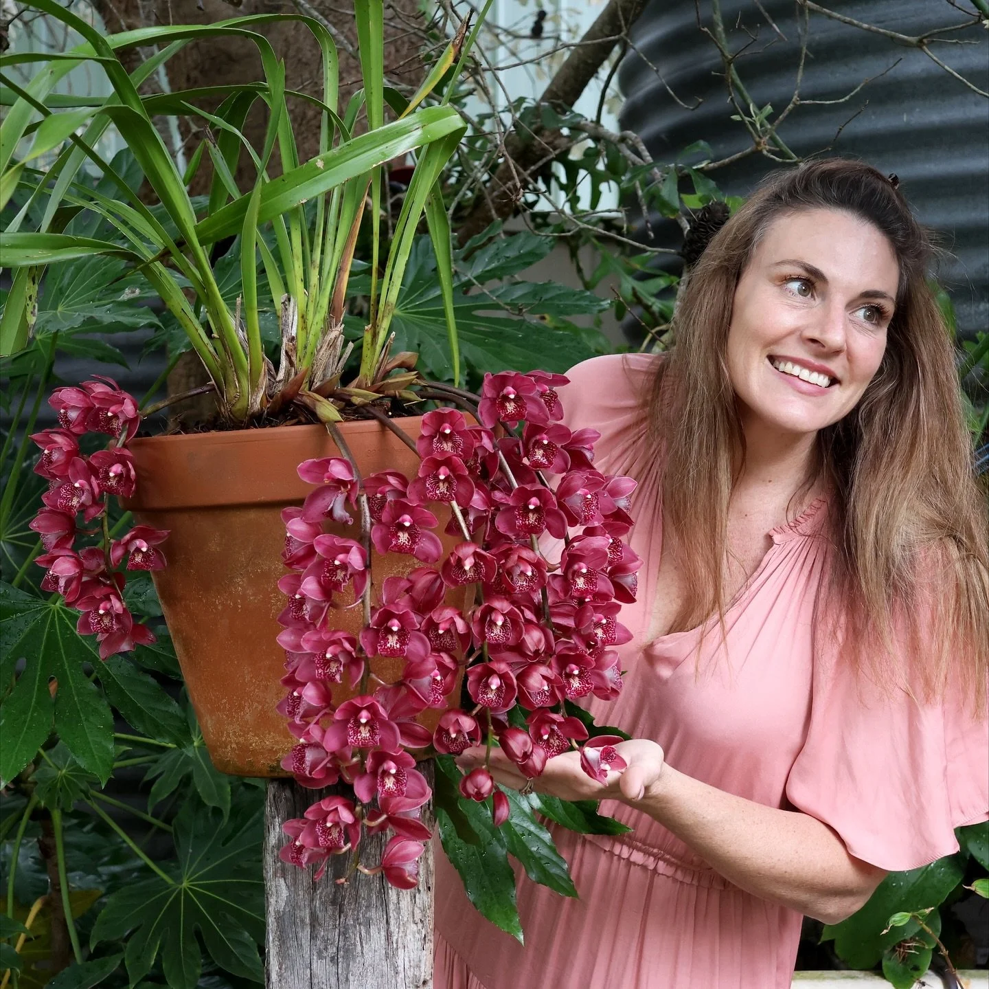 The storm clouds have rolled over Maitland, freshening everything up beautifully for the @collectors.plant.fair  Plant Fair tomorrow! 🌧️🌿 Gates open at 8am  From 8:15, I&rsquo;ll be broadcasting live back to ABC Radio Newcastle for our gardening ta
