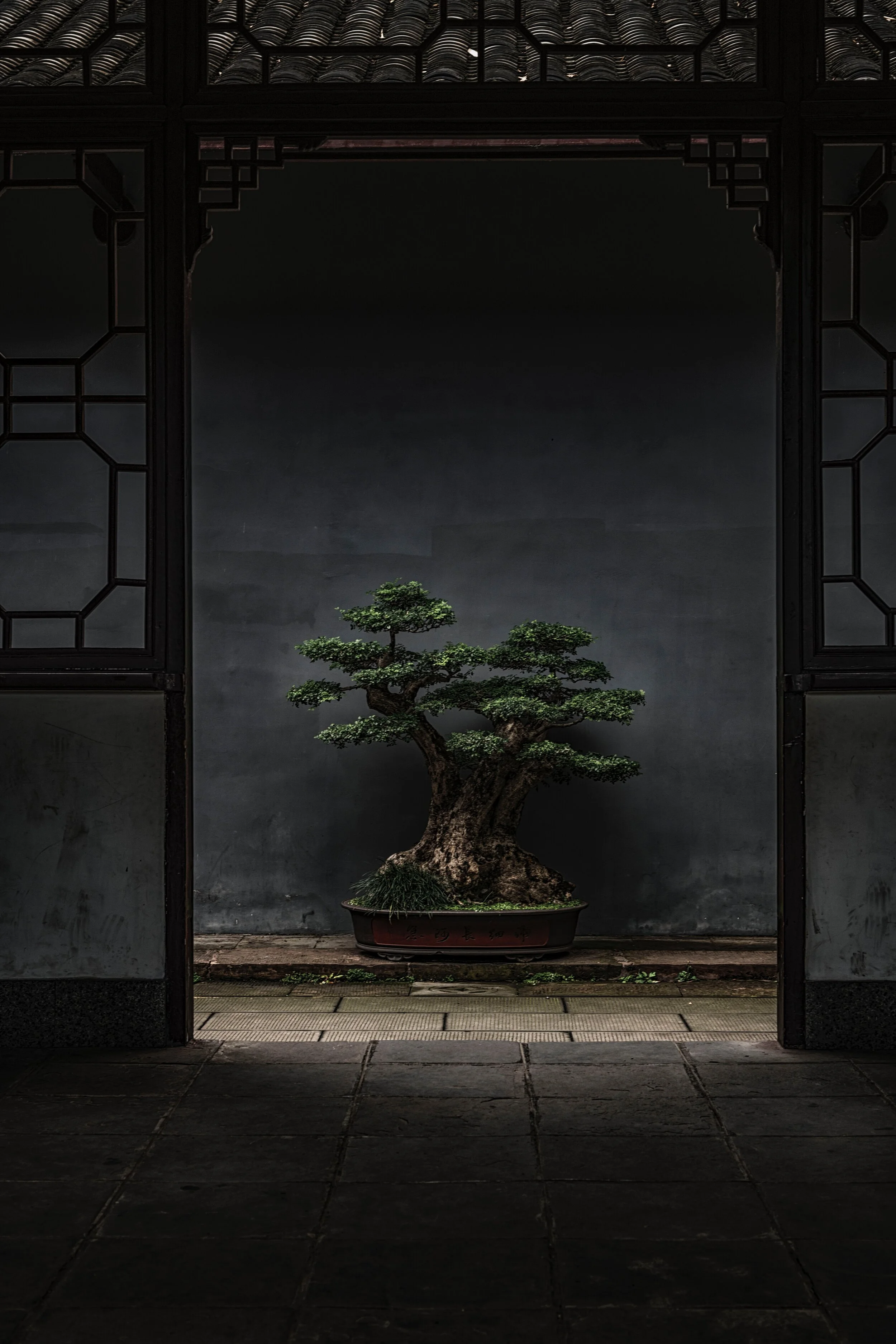 home-unsplash.jpg