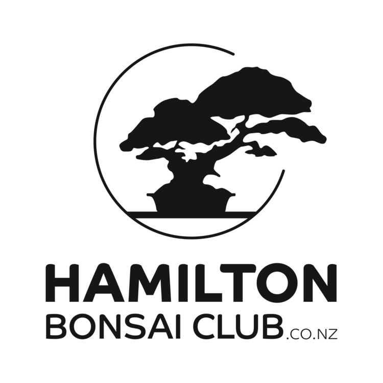 Hamilton Bonsai Club: December Meeting