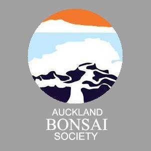 Auckland Bonsai Society December Meeting